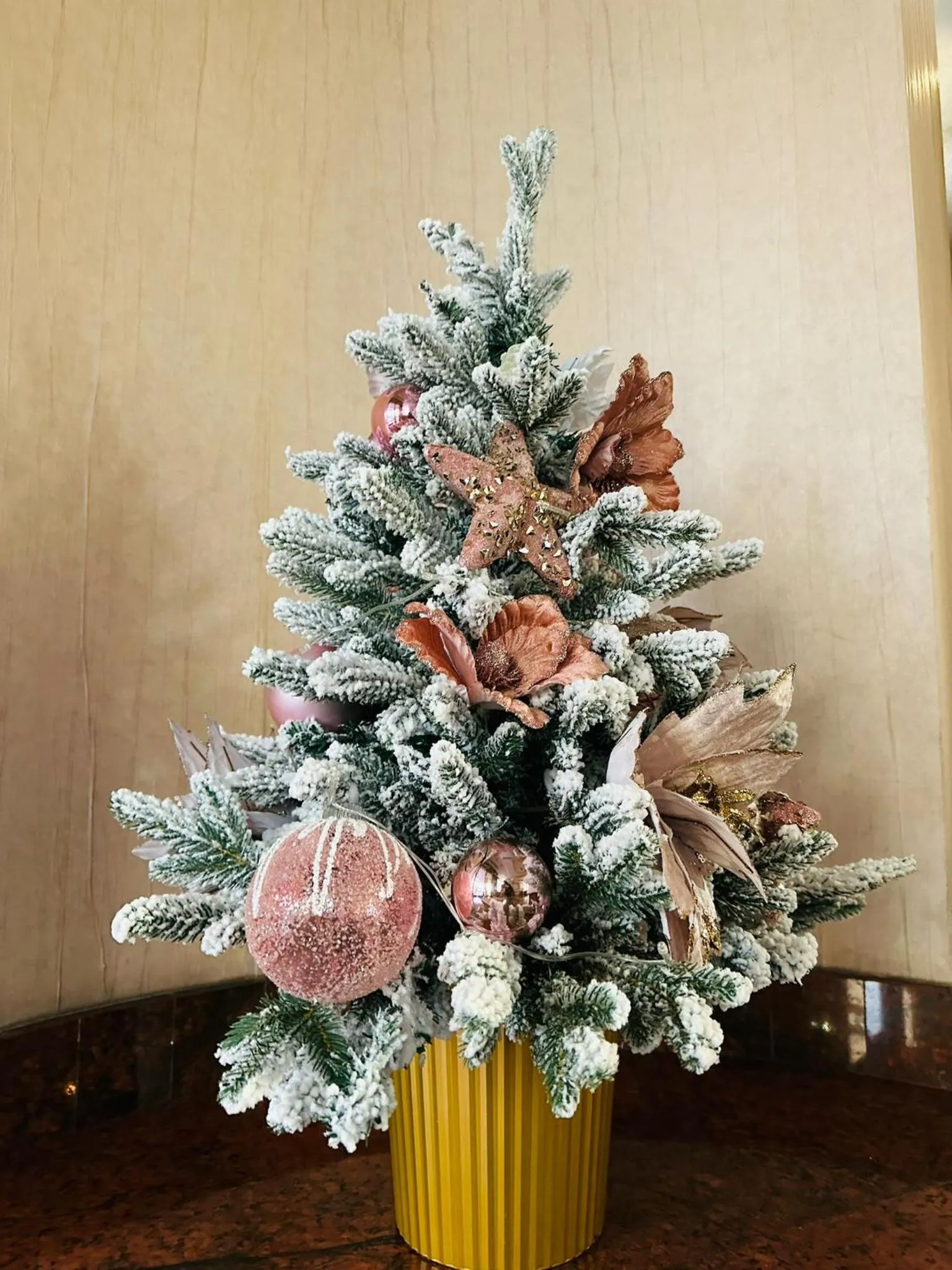 Property building in Acapulco Hotel