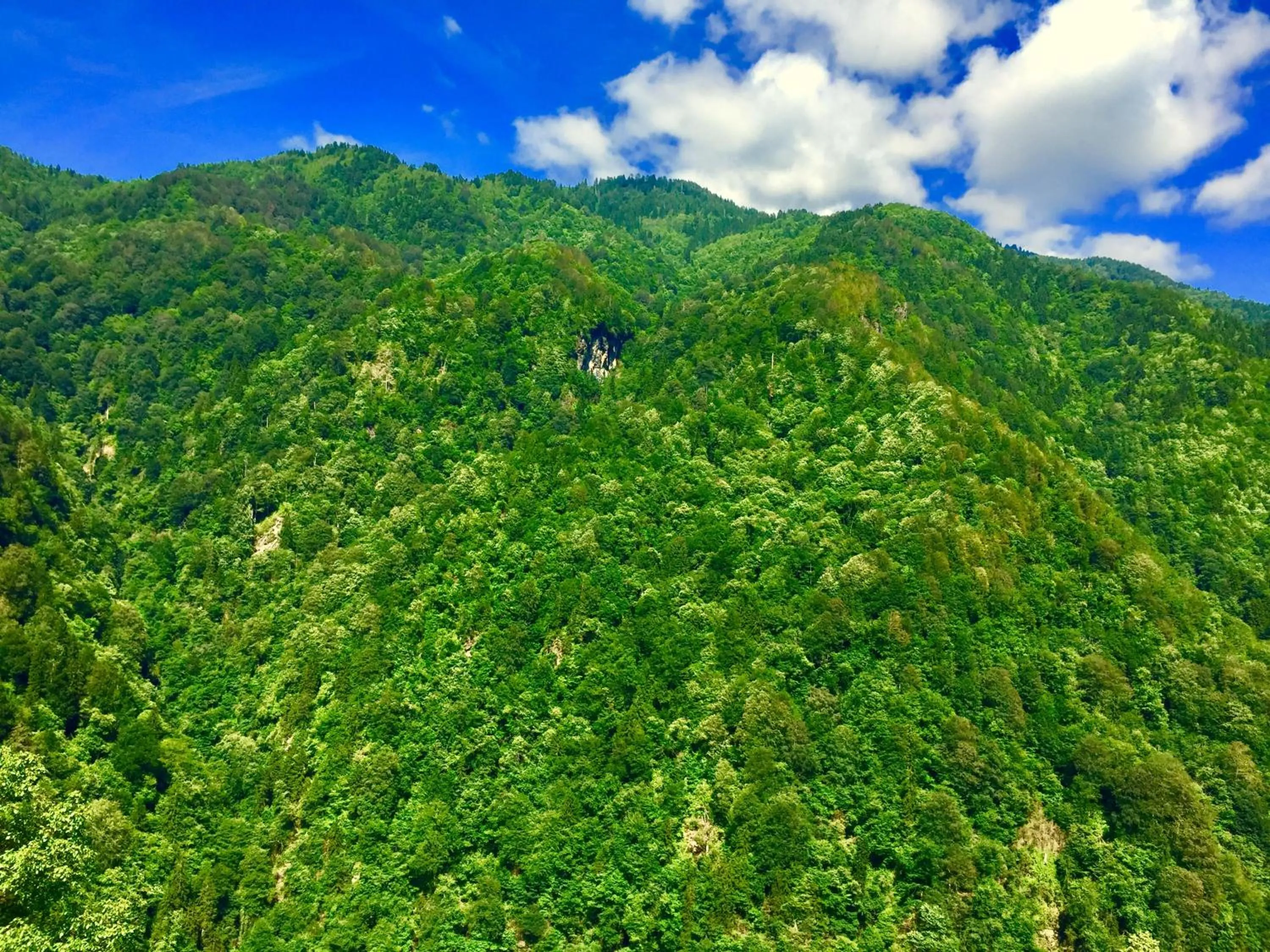 Property building in Seyr-i Cennet Dag Evleri