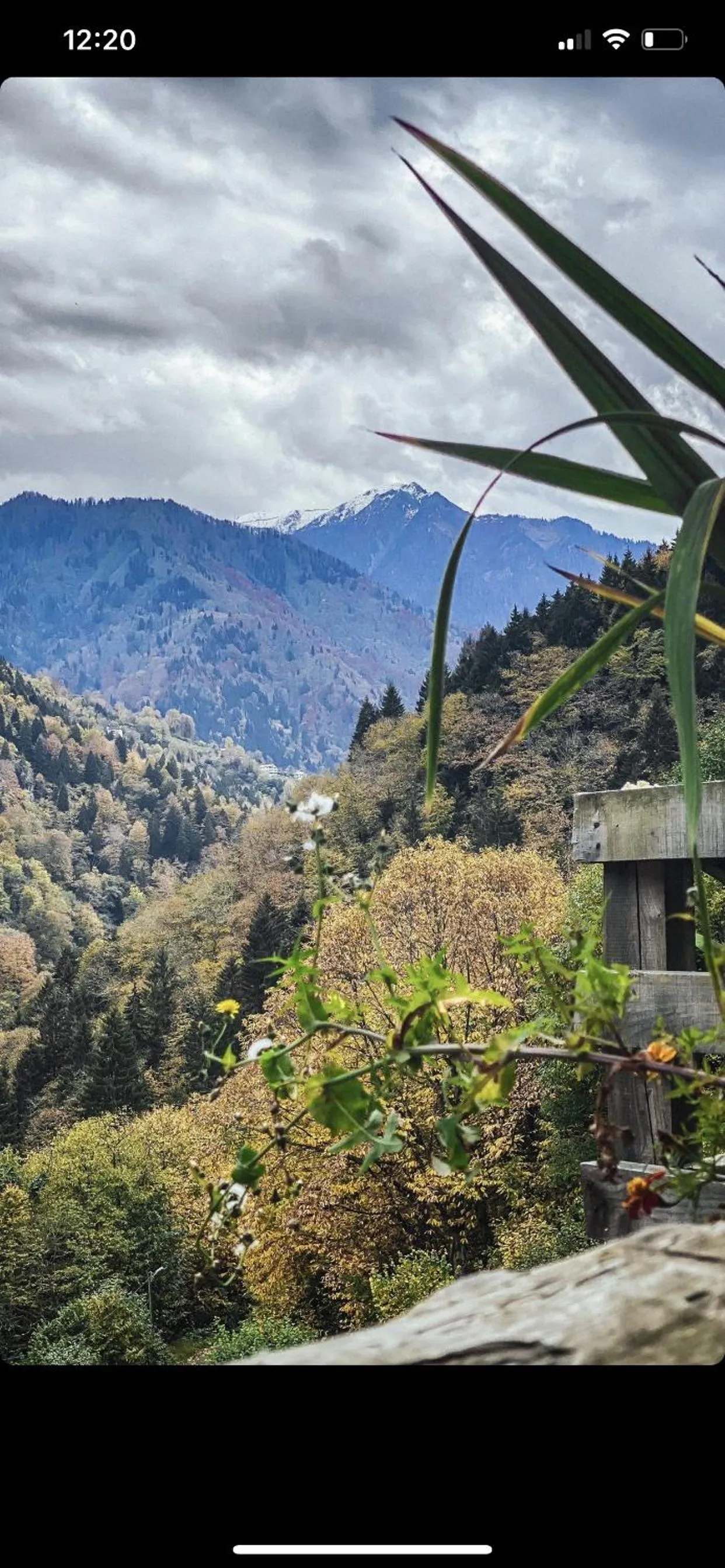 Seyr-i Cennet Dag Evleri