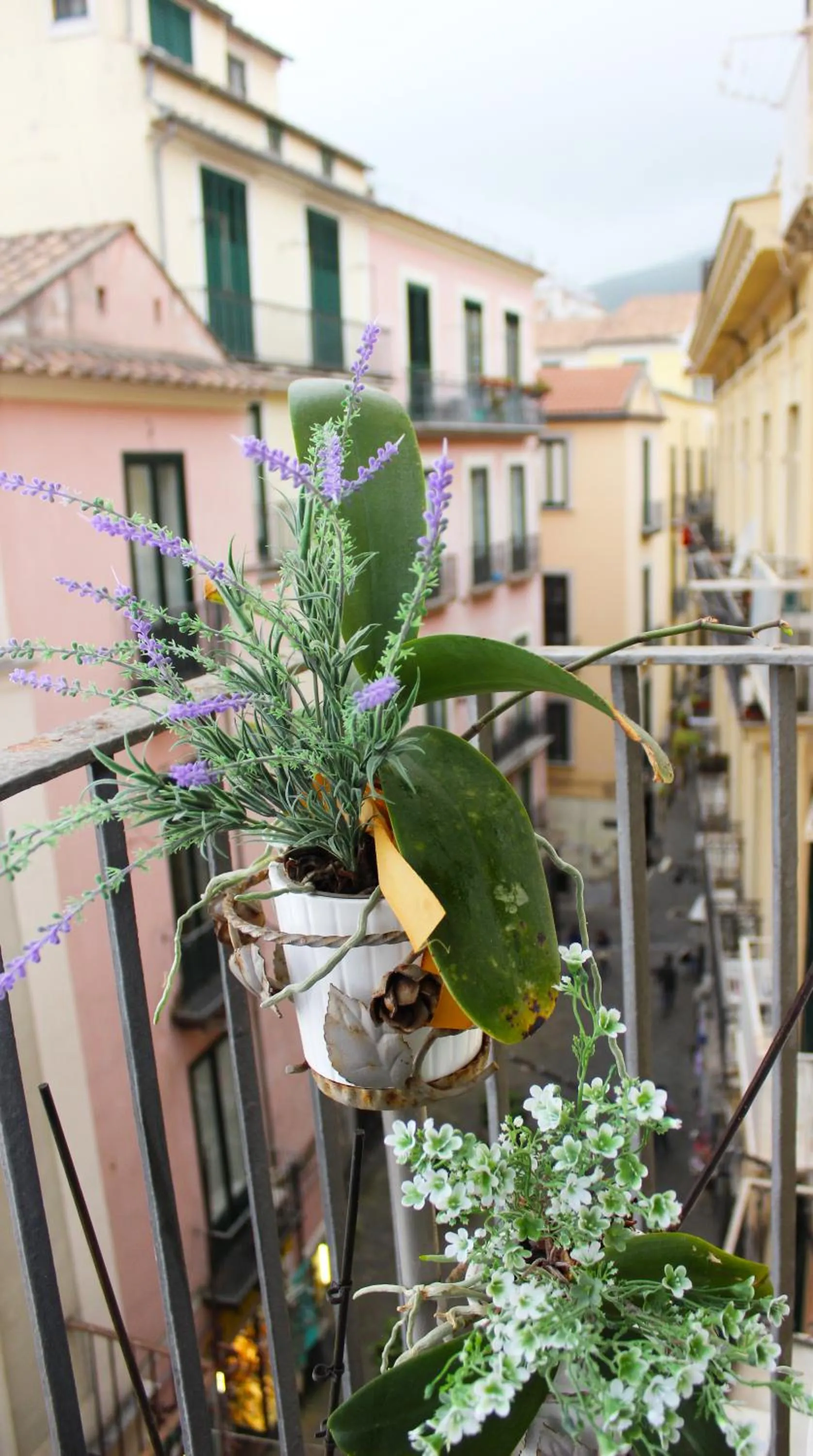 Balcony/Terrace in B&B Katerine