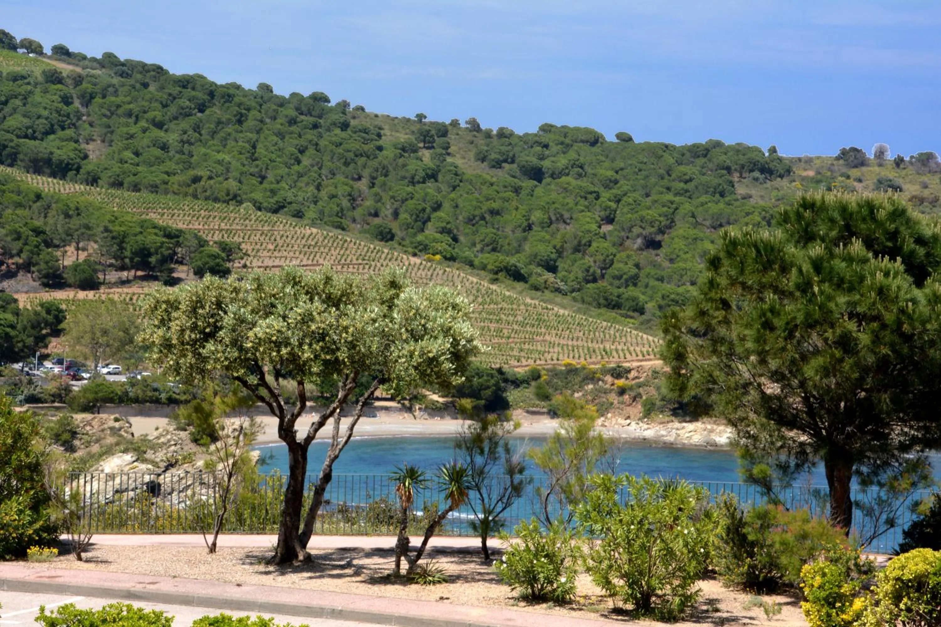 Sea view in Logis Hotel Solhotel