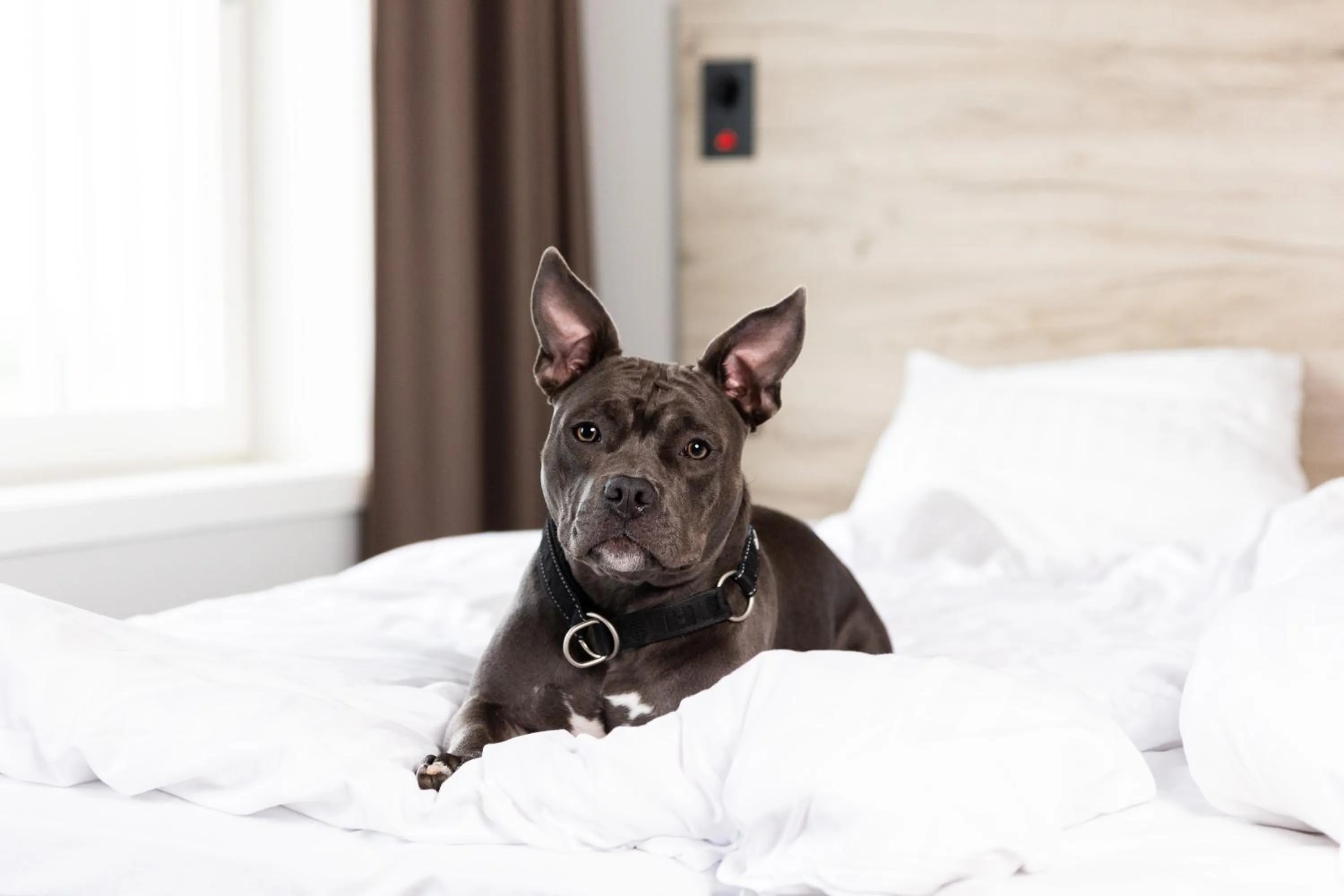 Photo of the whole room, Bed in ArenaHotellet i Uppsala