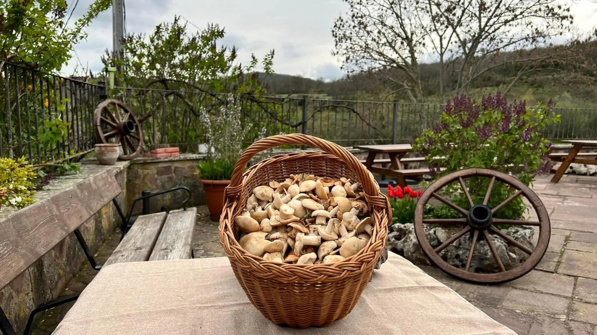 Patio in La Posada Del Santuario