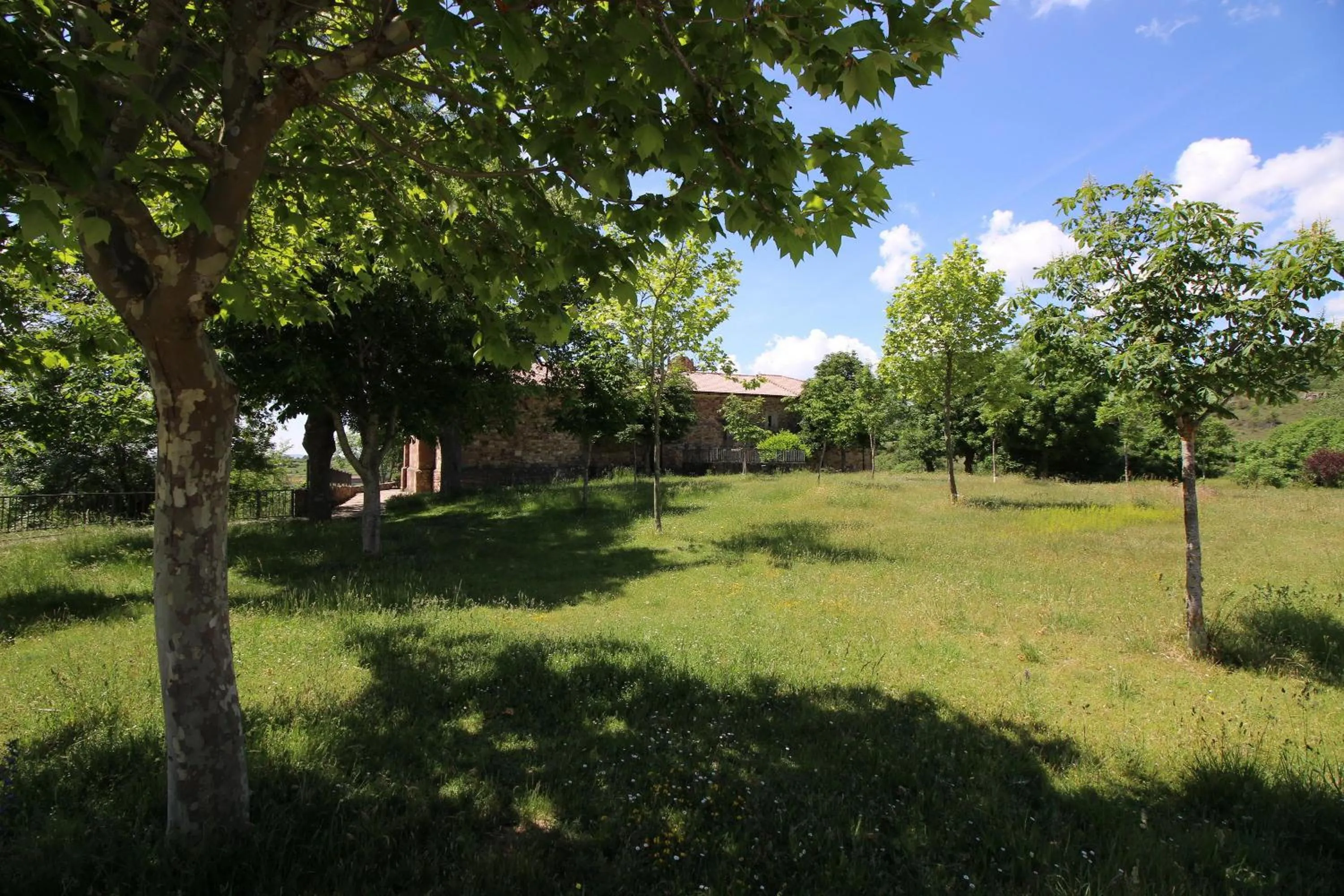 Garden in La Posada Del Santuario