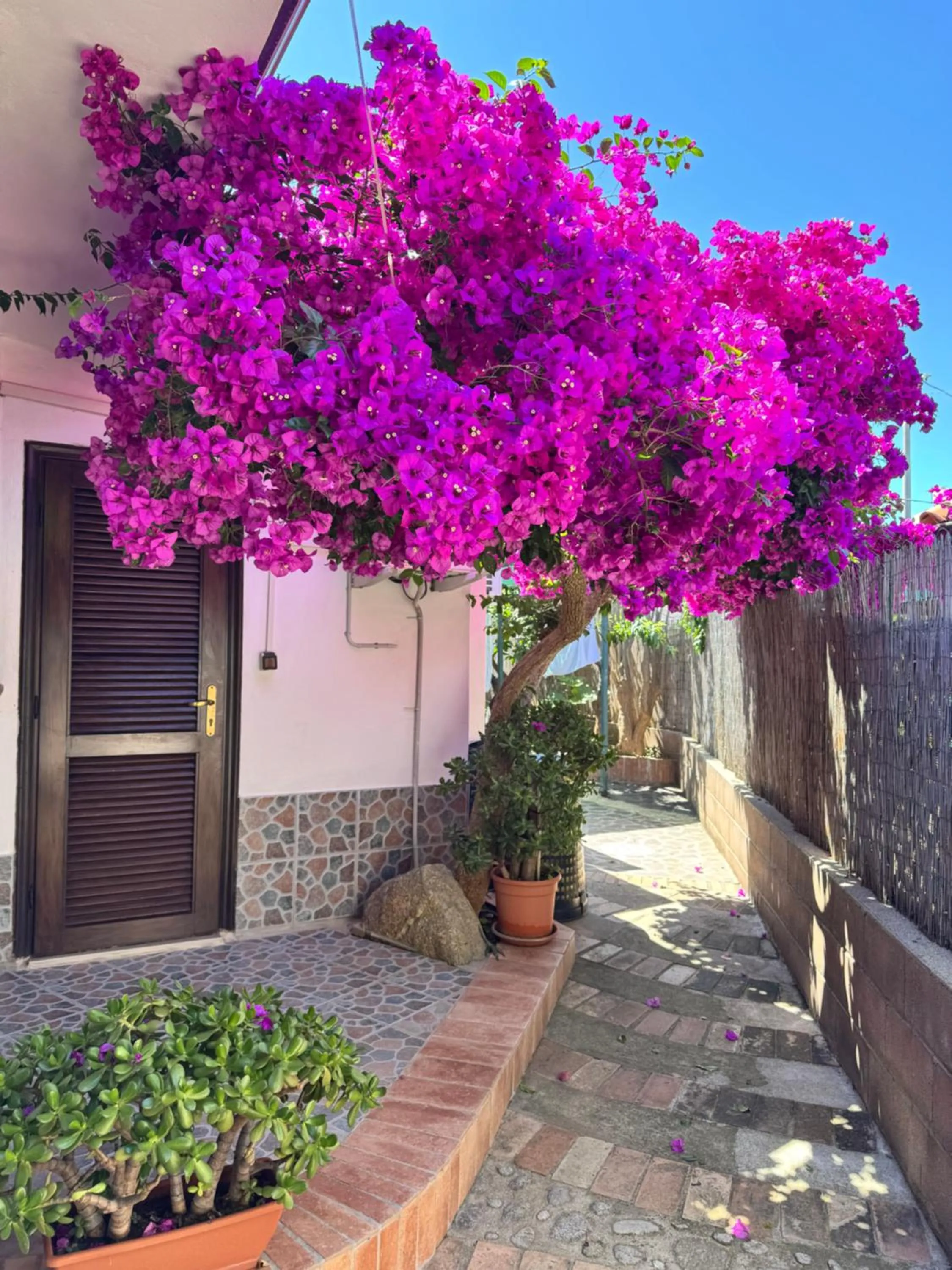 Double Room with Private Bathroom in B&B Baia di Riaci Tropea