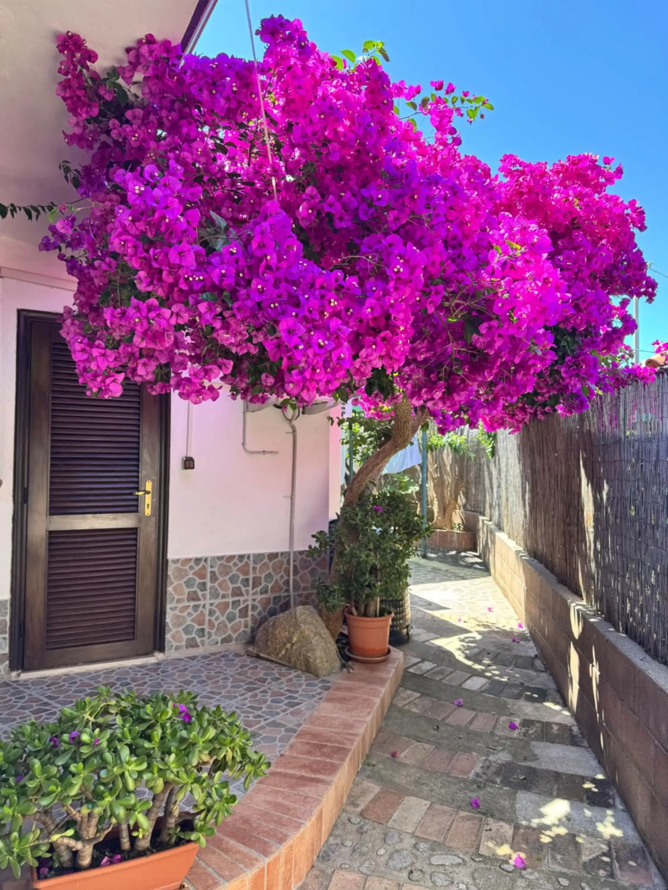 Double Room with Private Bathroom in B&B Baia di Riaci Tropea Double Room with Private Bathroom in B&B Baia di Riaci Tropea
