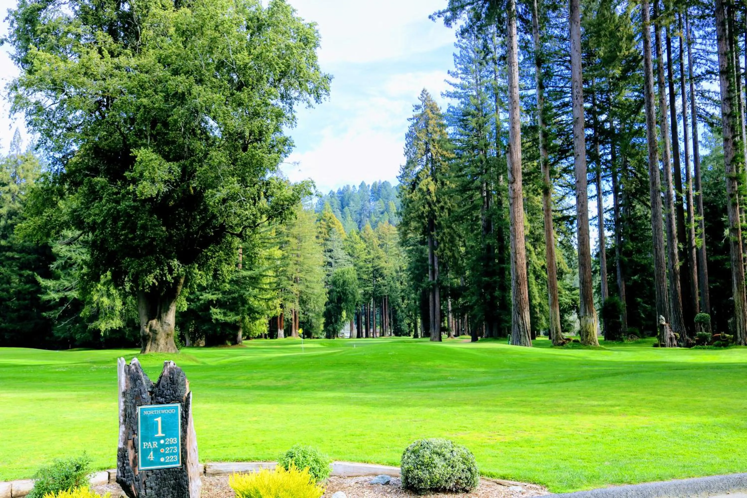 Golfcourse in Casa Secoya