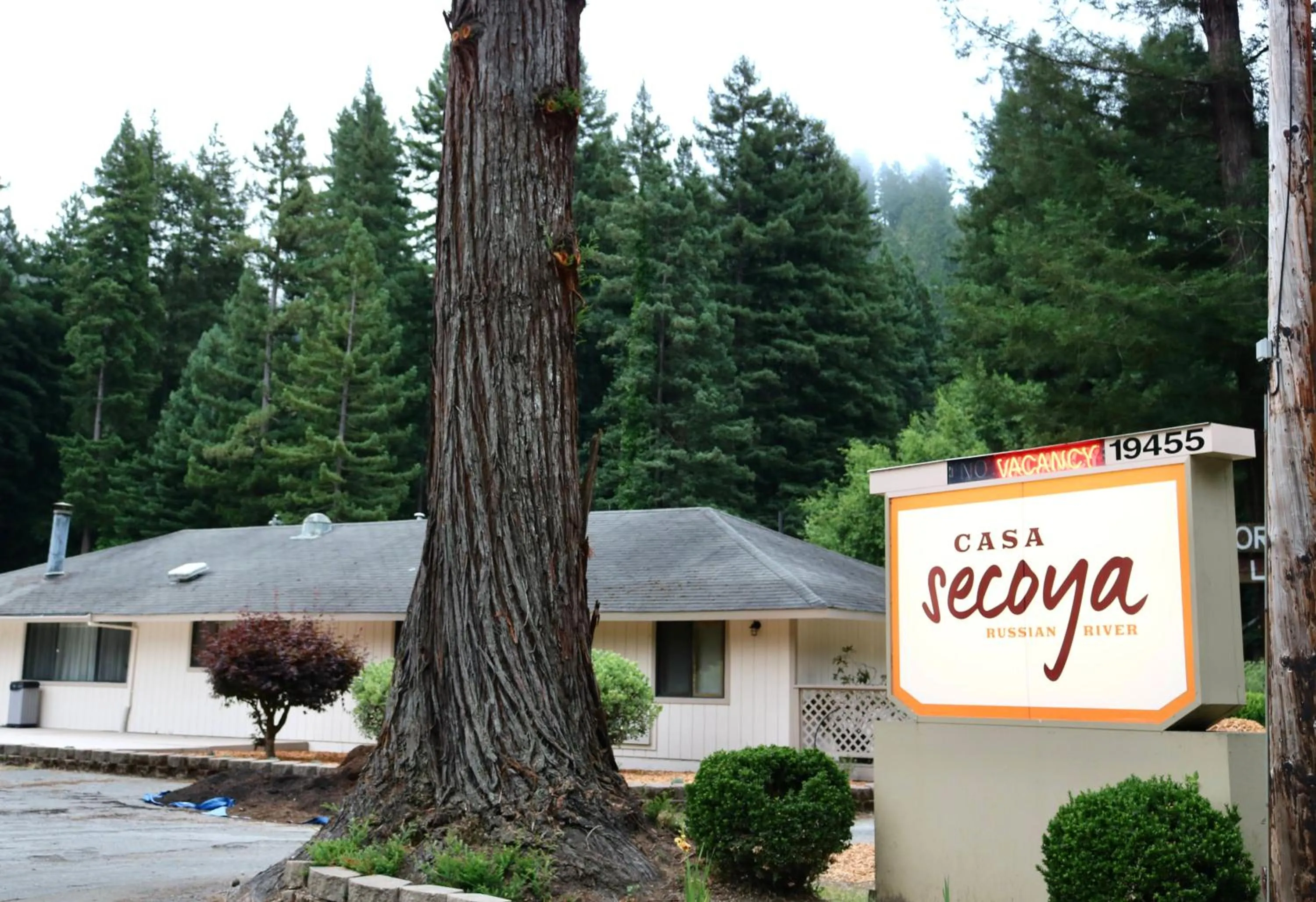 Property building in Casa Secoya