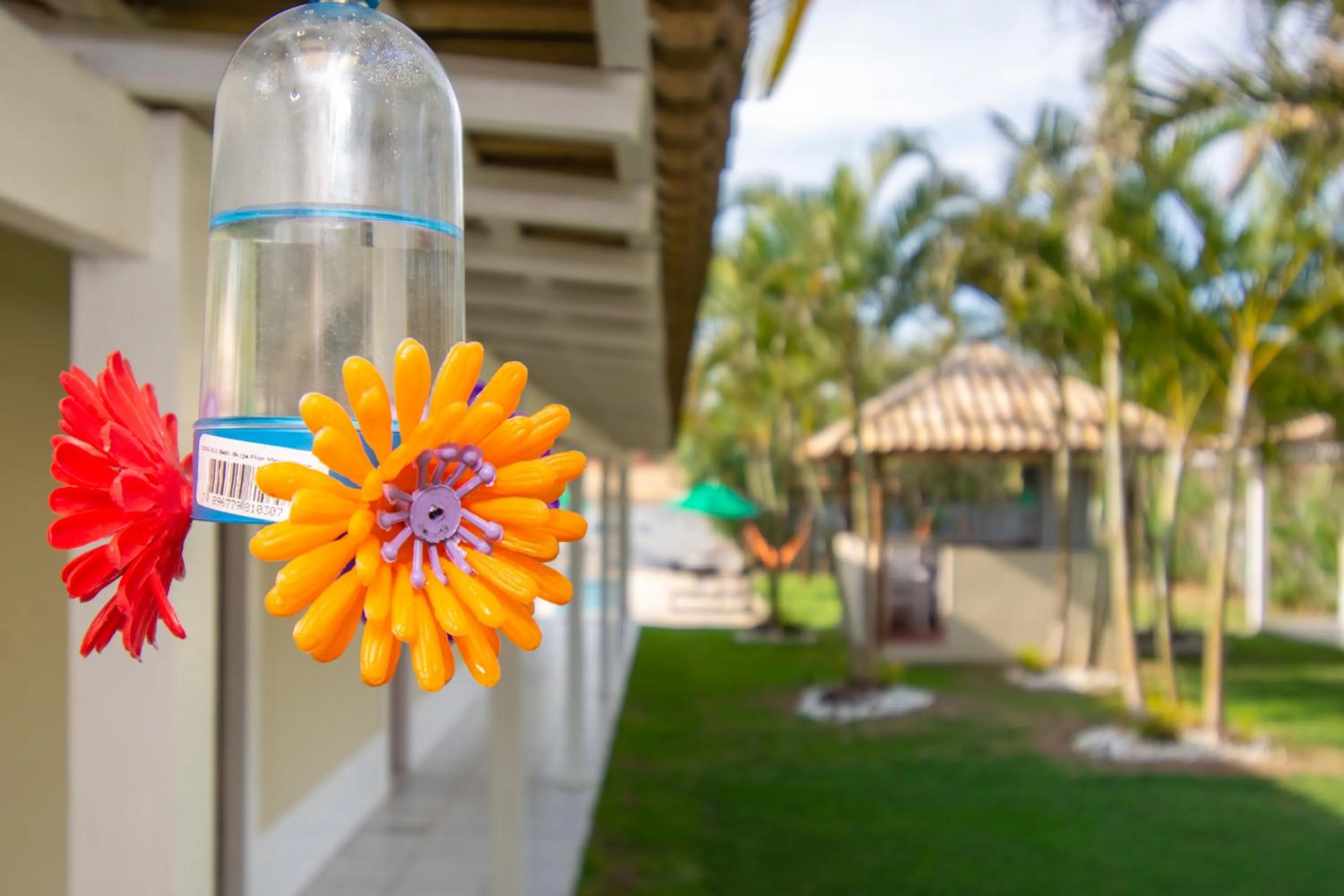 Garden in Pousada Casuarina Ferradura