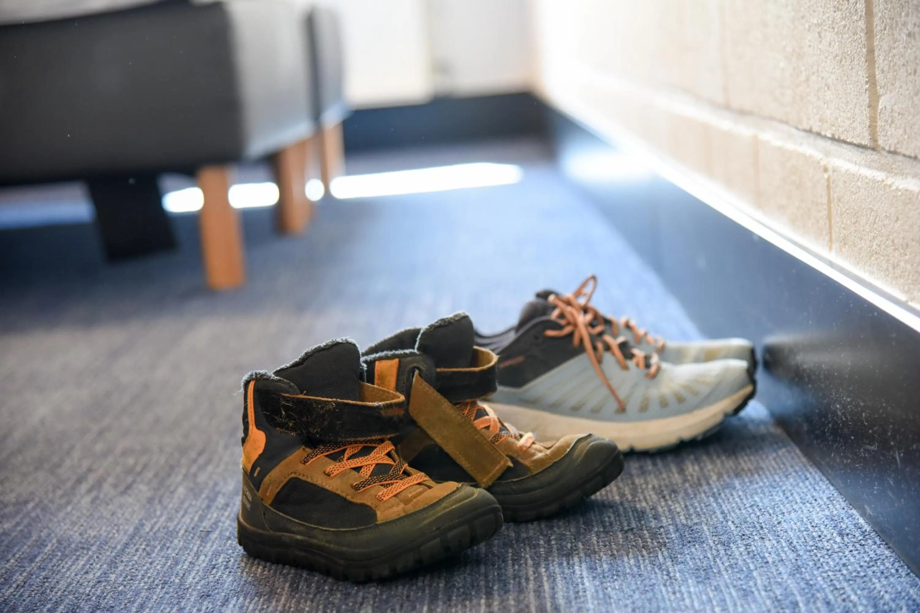 Activities in Vakantiedomein Hoge Duin