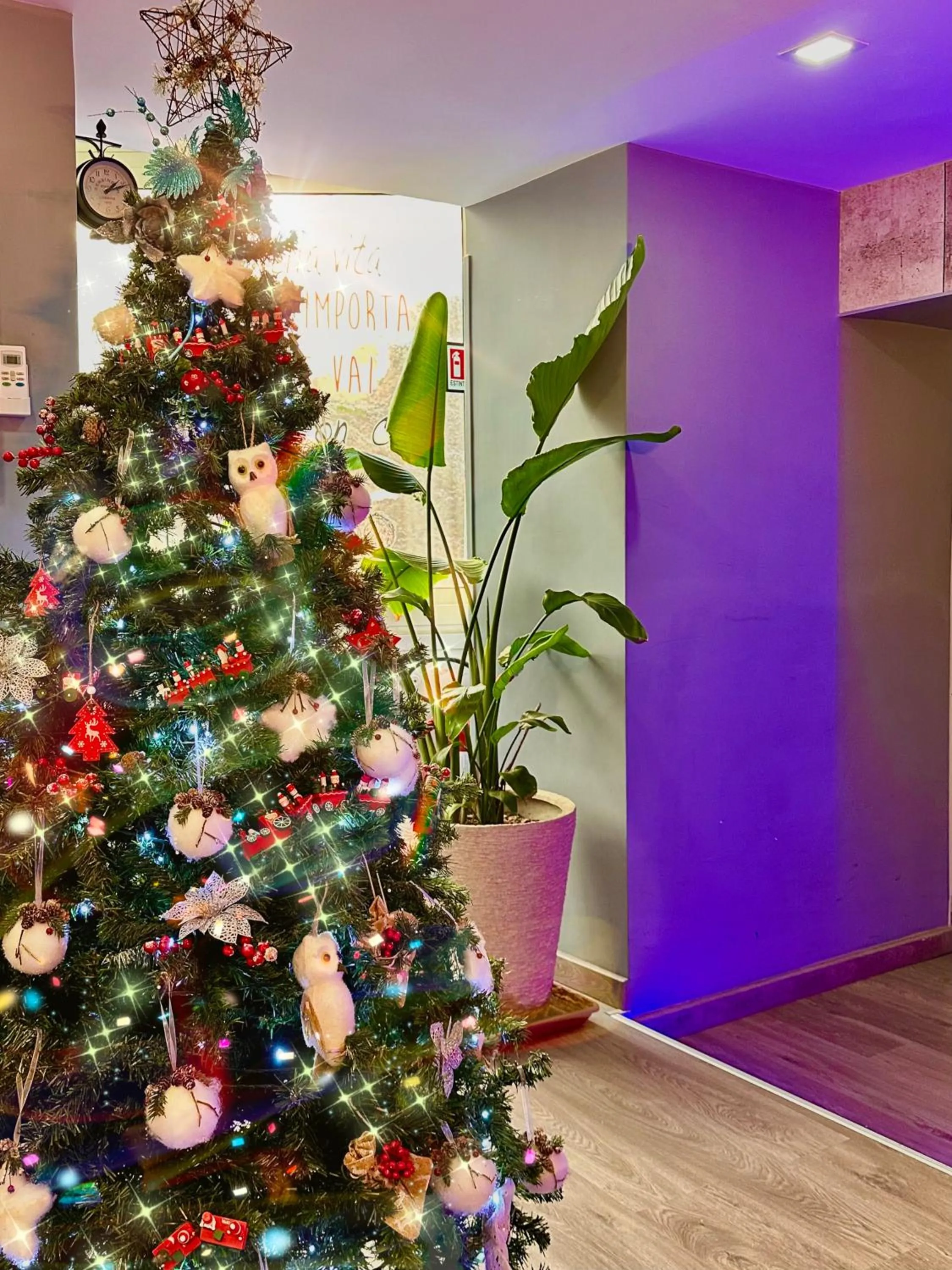 Decorative detail in Bourbon House