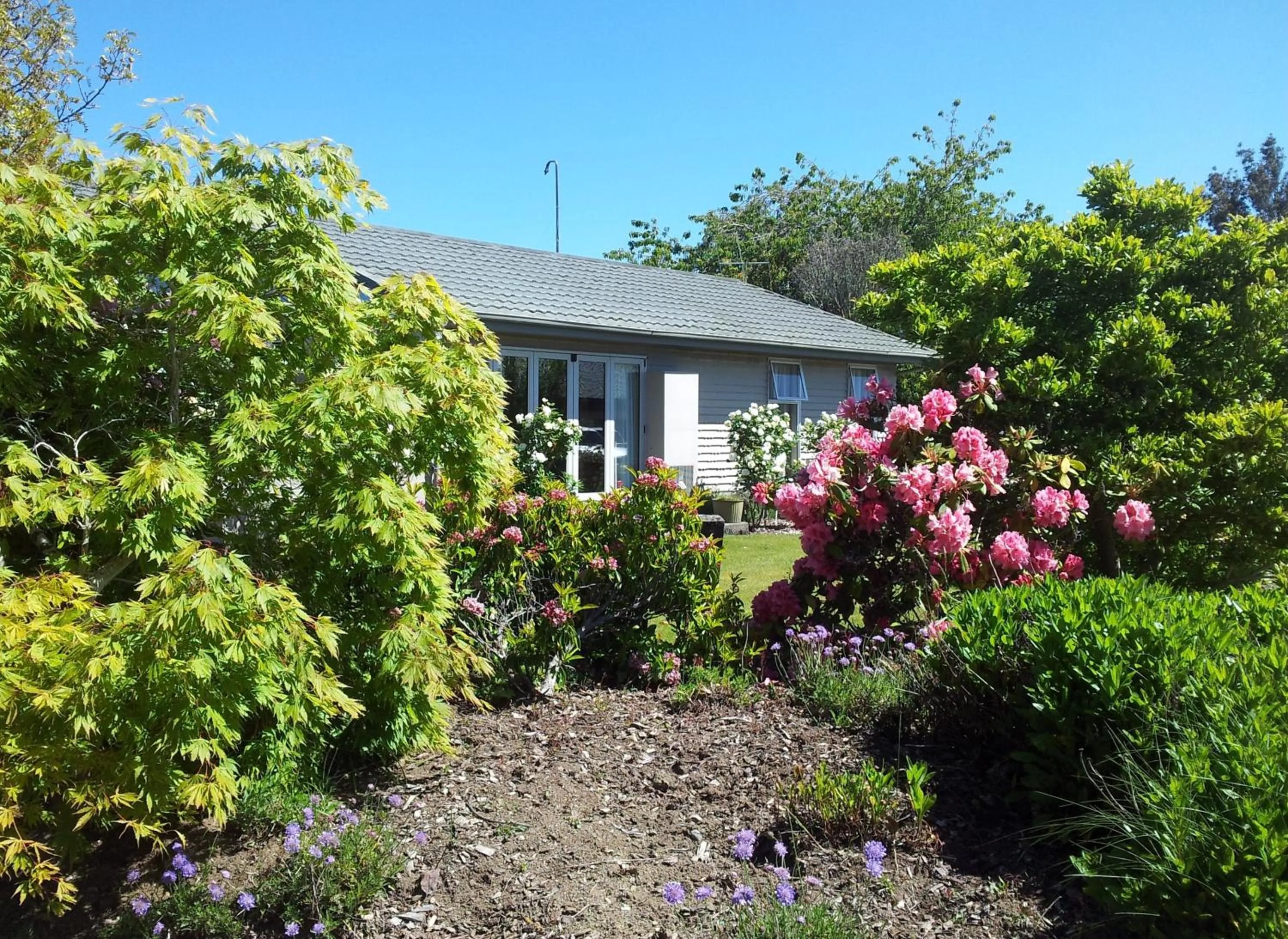 Day in Edgewater Motel