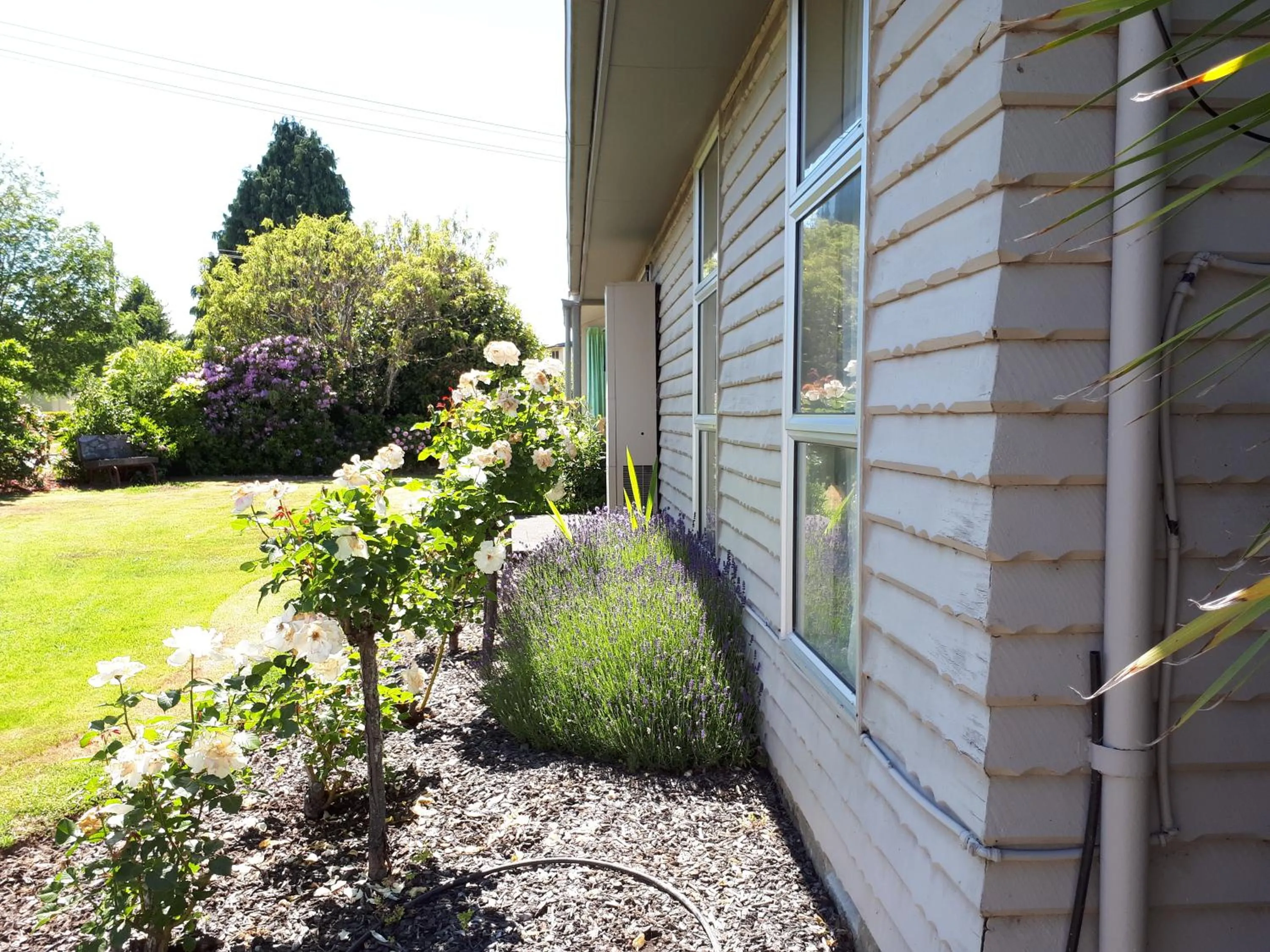 Facade/entrance in Edgewater Motel