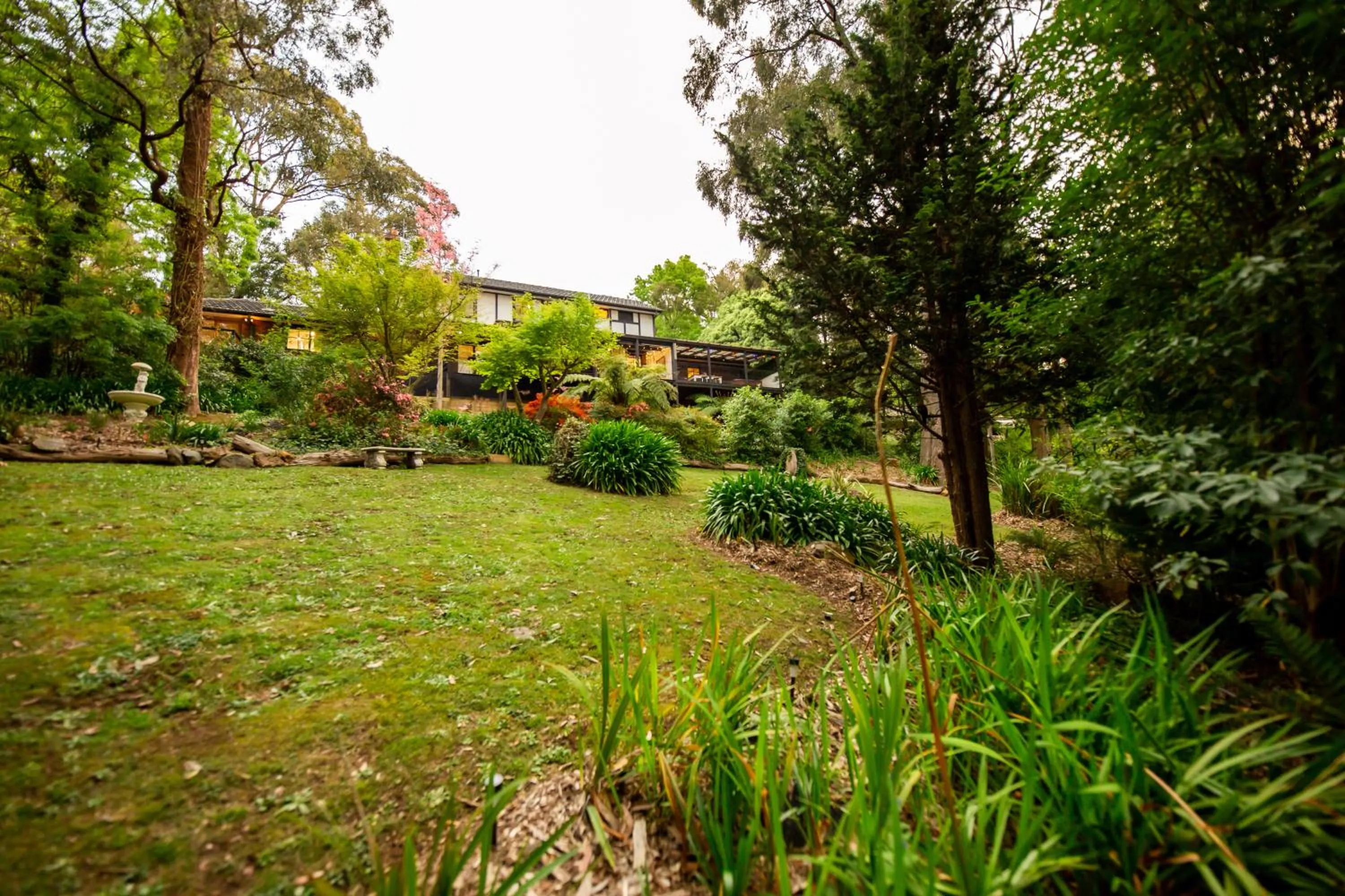 Natural landscape in Holly Lodge