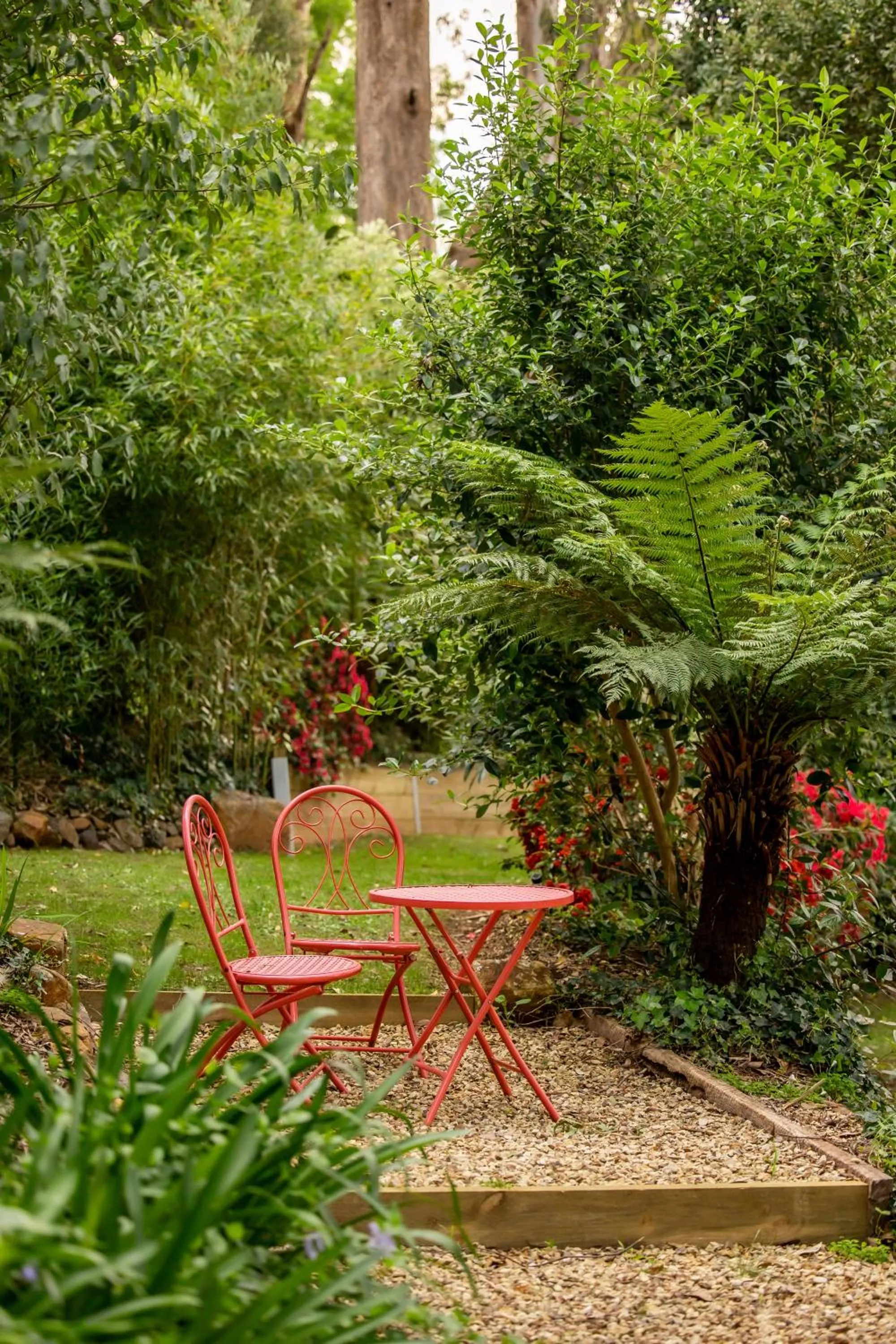 Natural landscape in Holly Lodge