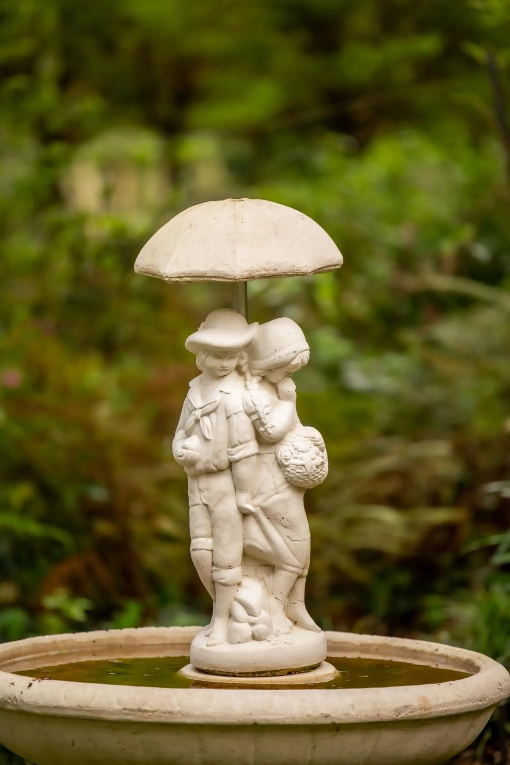 Garden in Holly Lodge