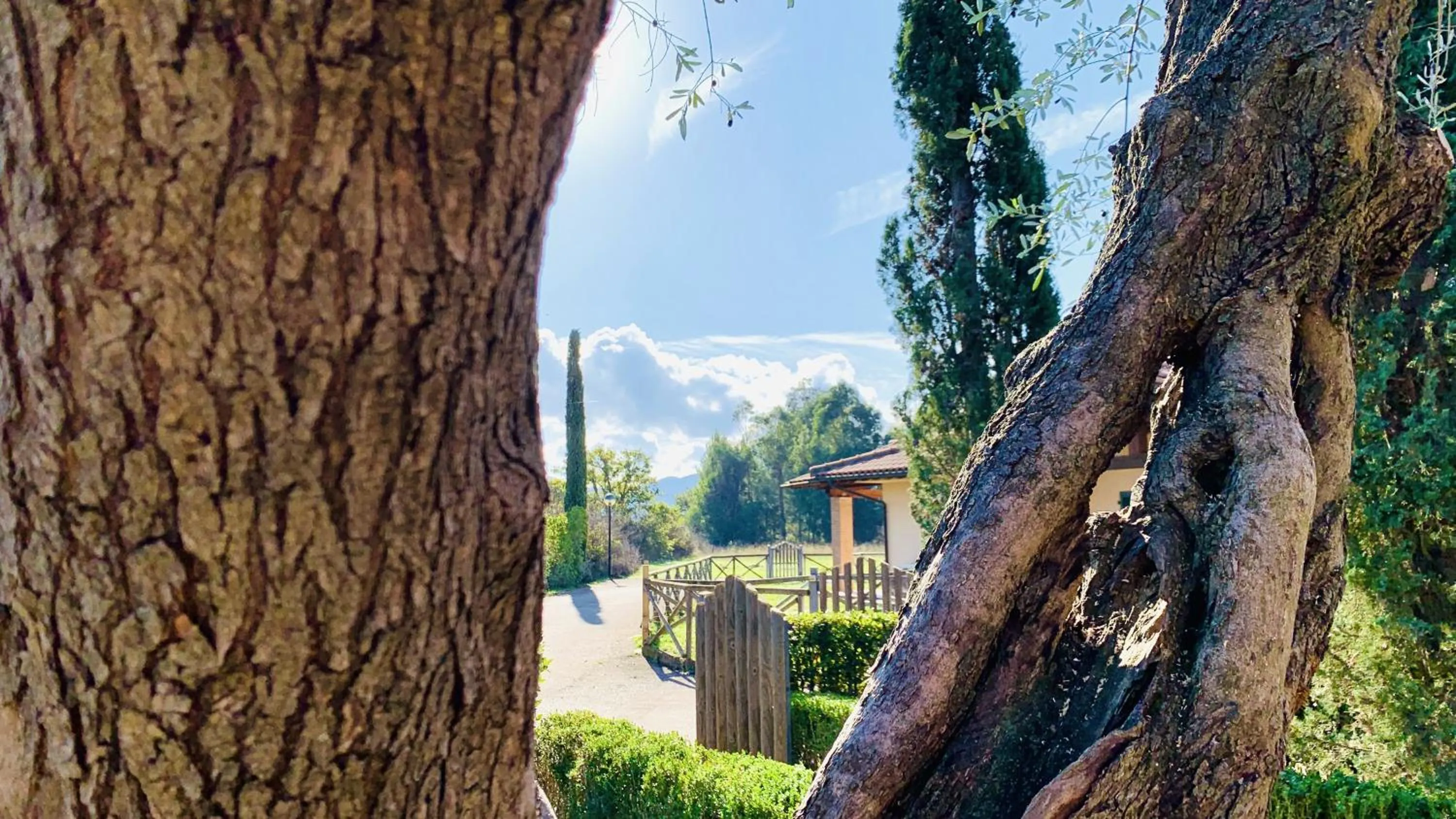 Property building in Casa in Maremma Tuscany Village