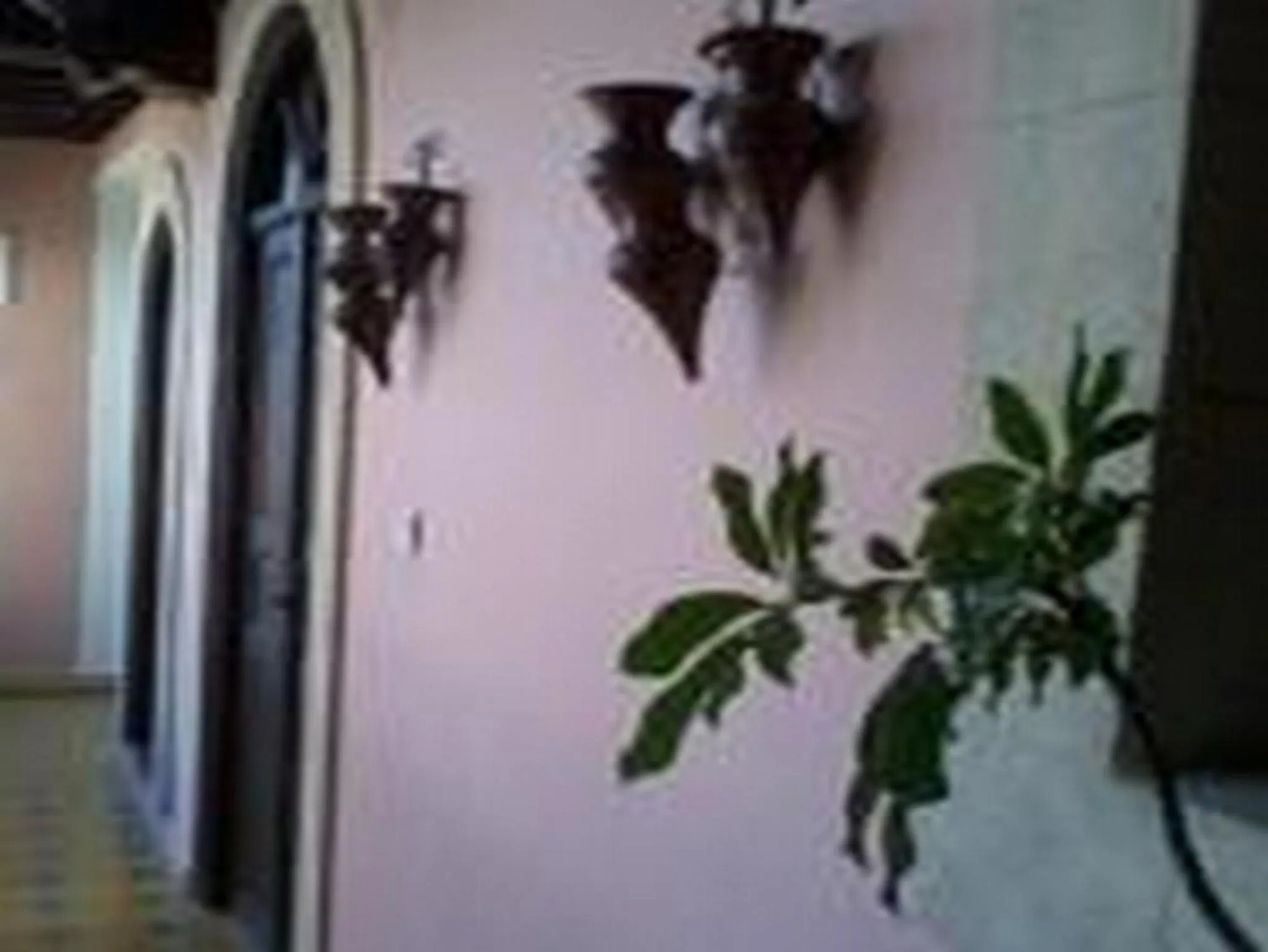Decorative detail in Riad Etoile D'essaouira