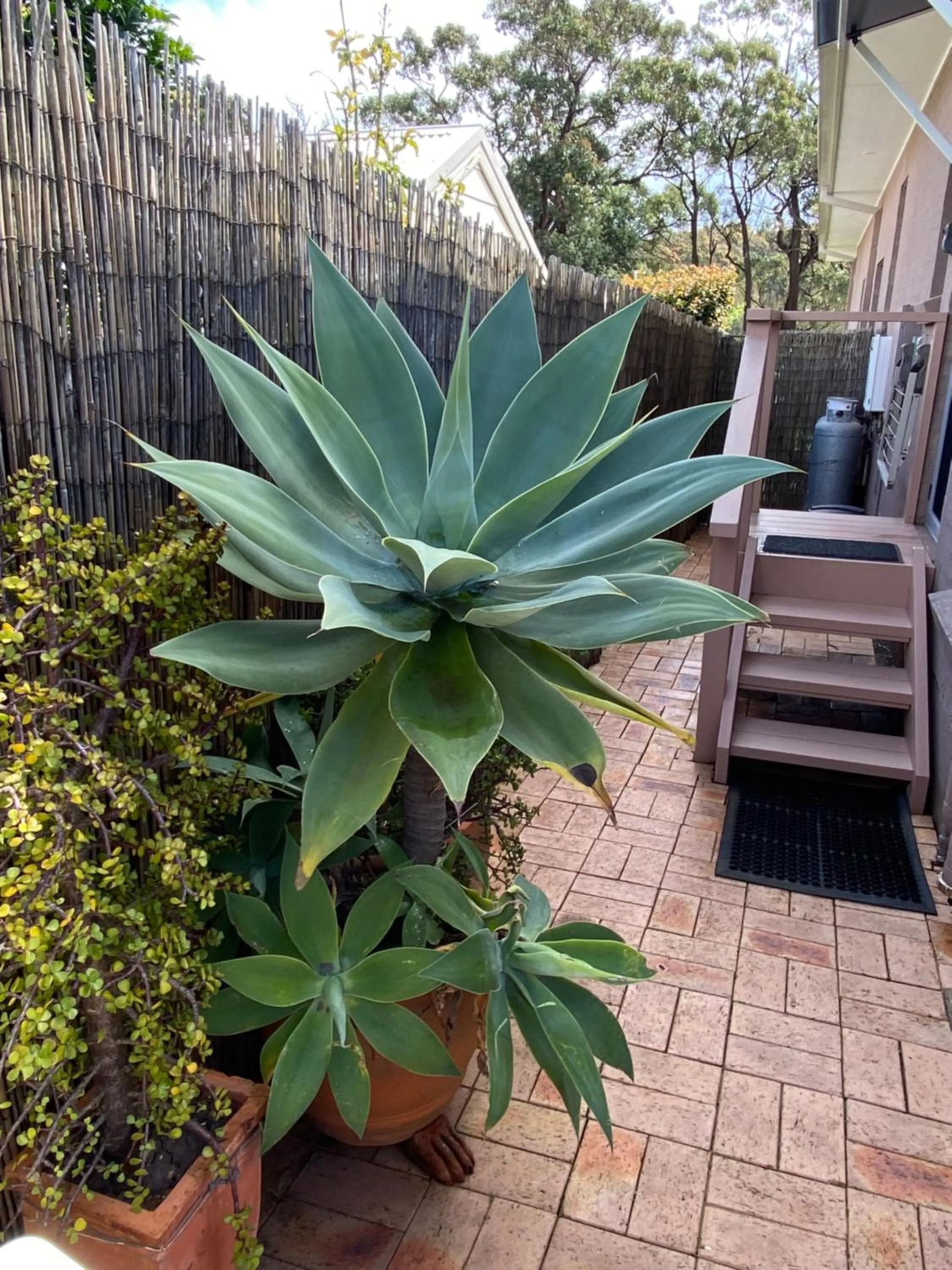 Inner courtyard view in Serenity Lodge for Couples