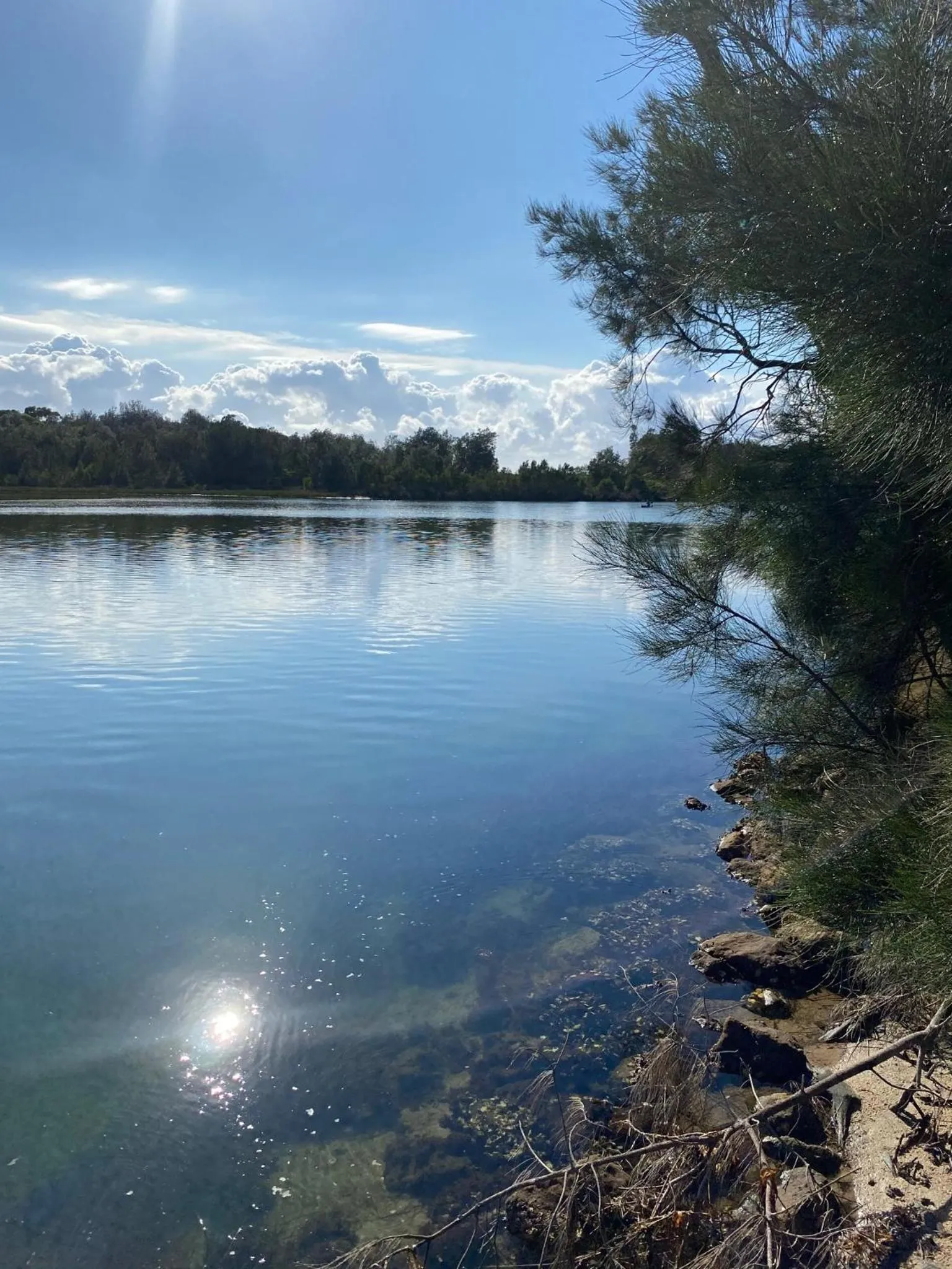 Natural landscape in Serenity Lodge for Couples