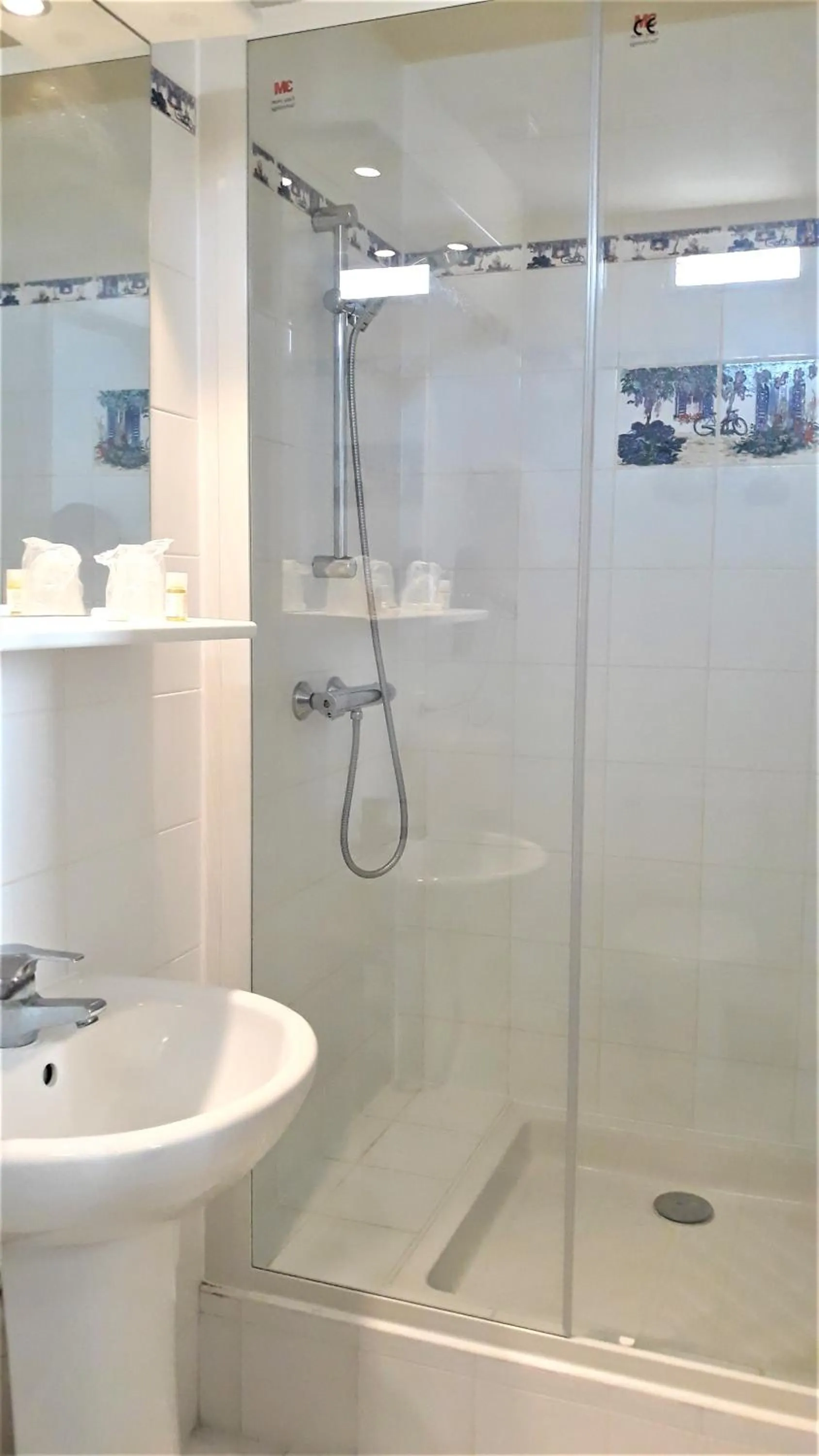 Shower in Hotel Le Reynita