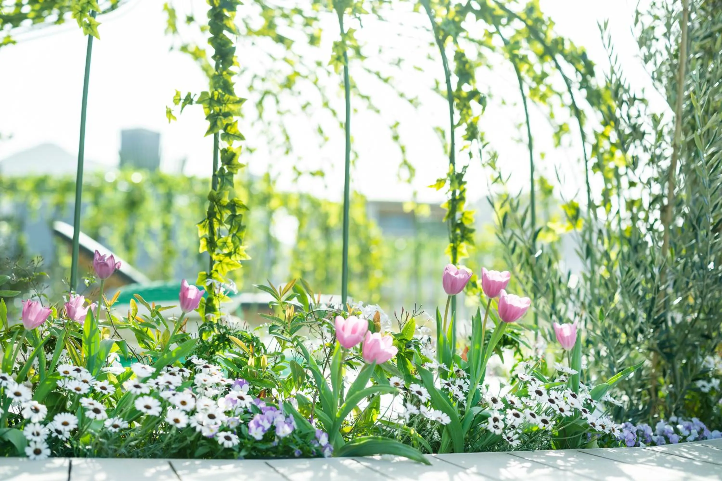 Spa and wellness centre/facilities in ROYAL CHESTER NAGASAKI hotel&retreat