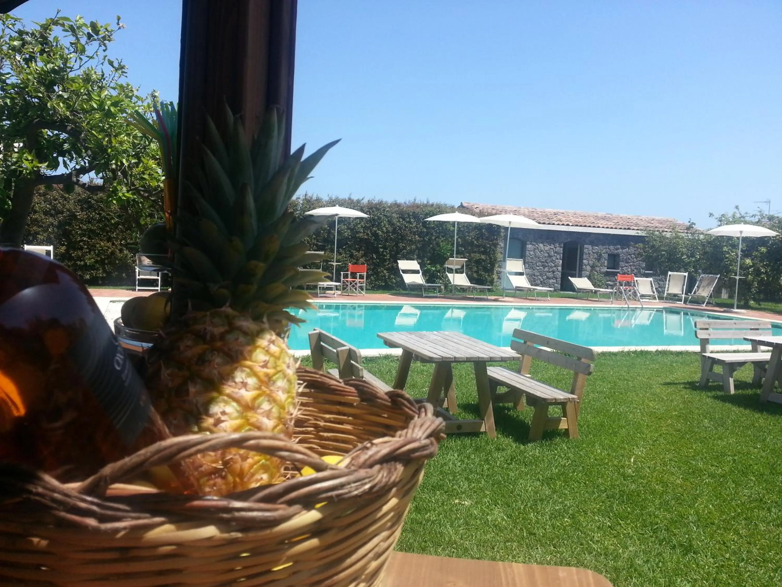 Swimming pool in Agriturismo Galea