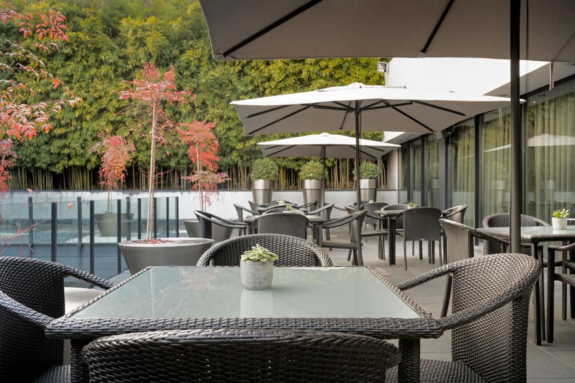 Garden view in AC Hotel Atocha by Marriott