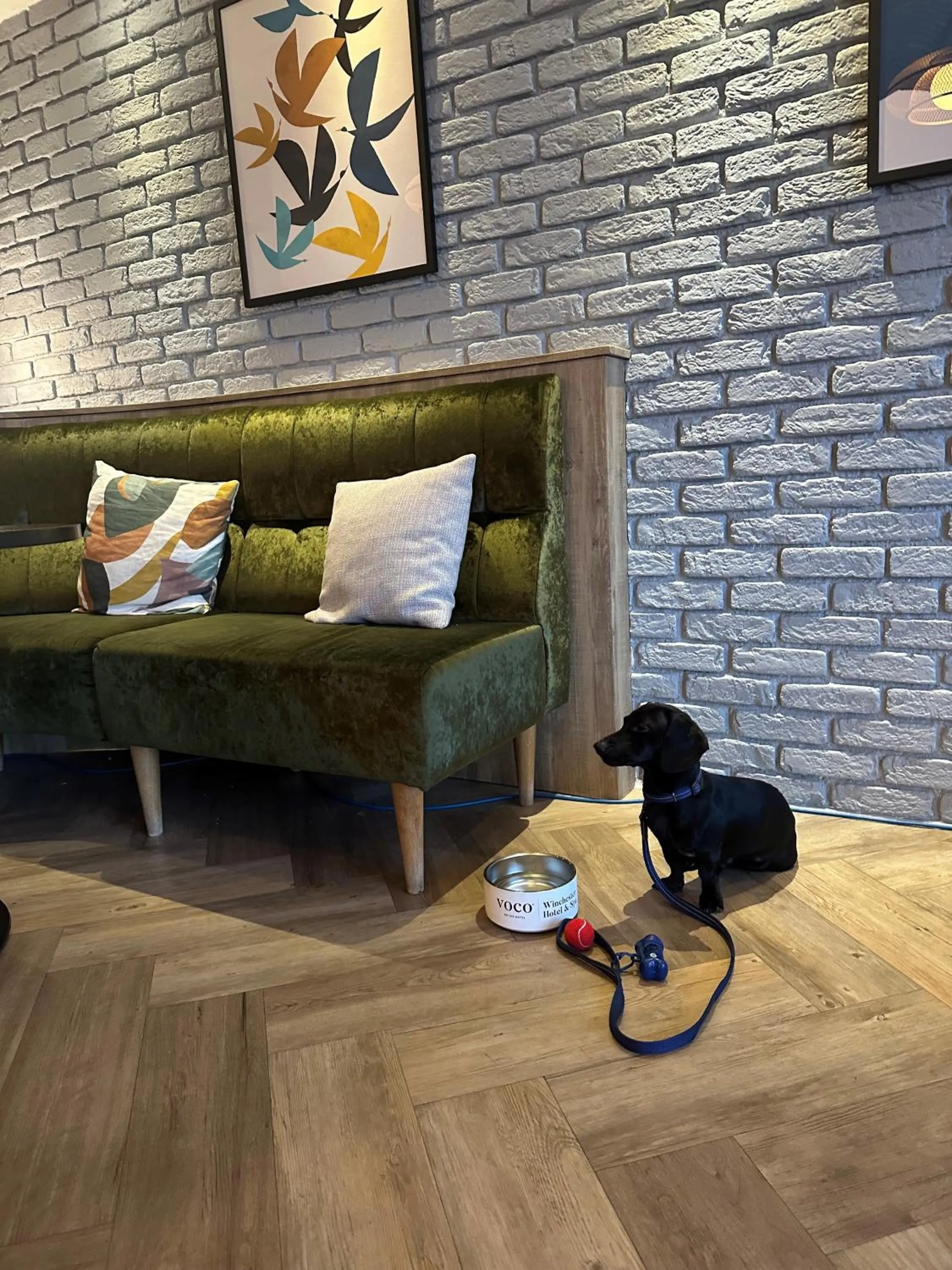 voco Winchester Hotel & Spa by IHG