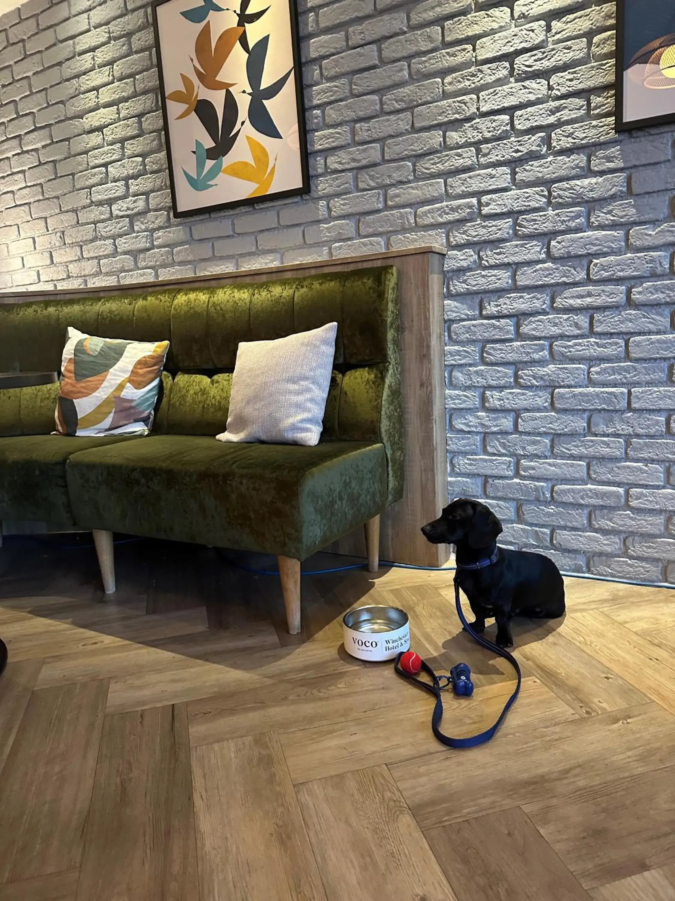 voco Winchester Hotel & Spa by IHG voco Winchester Hotel & Spa by IHG