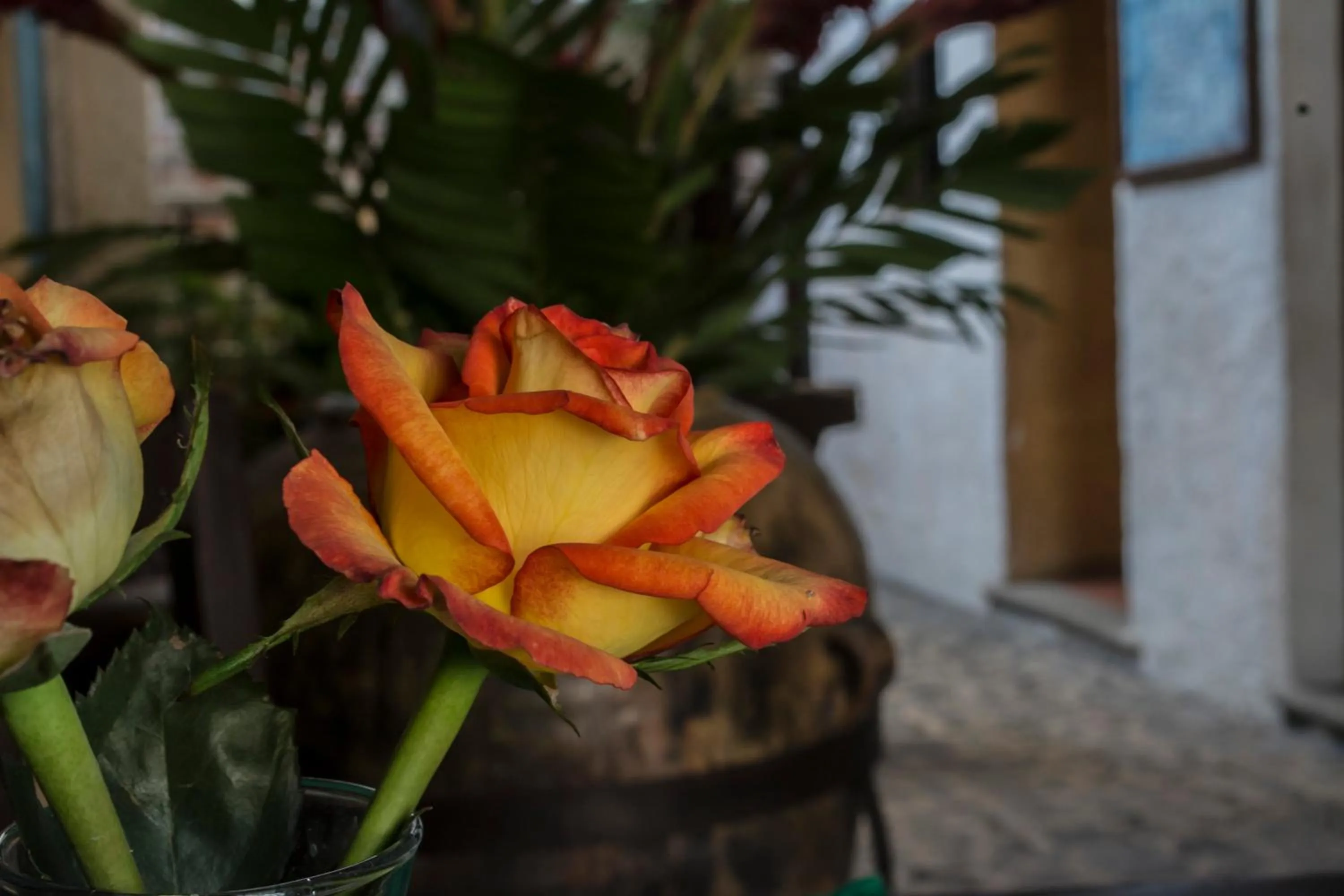 Communal lounge/ TV room in Posada El Antaño