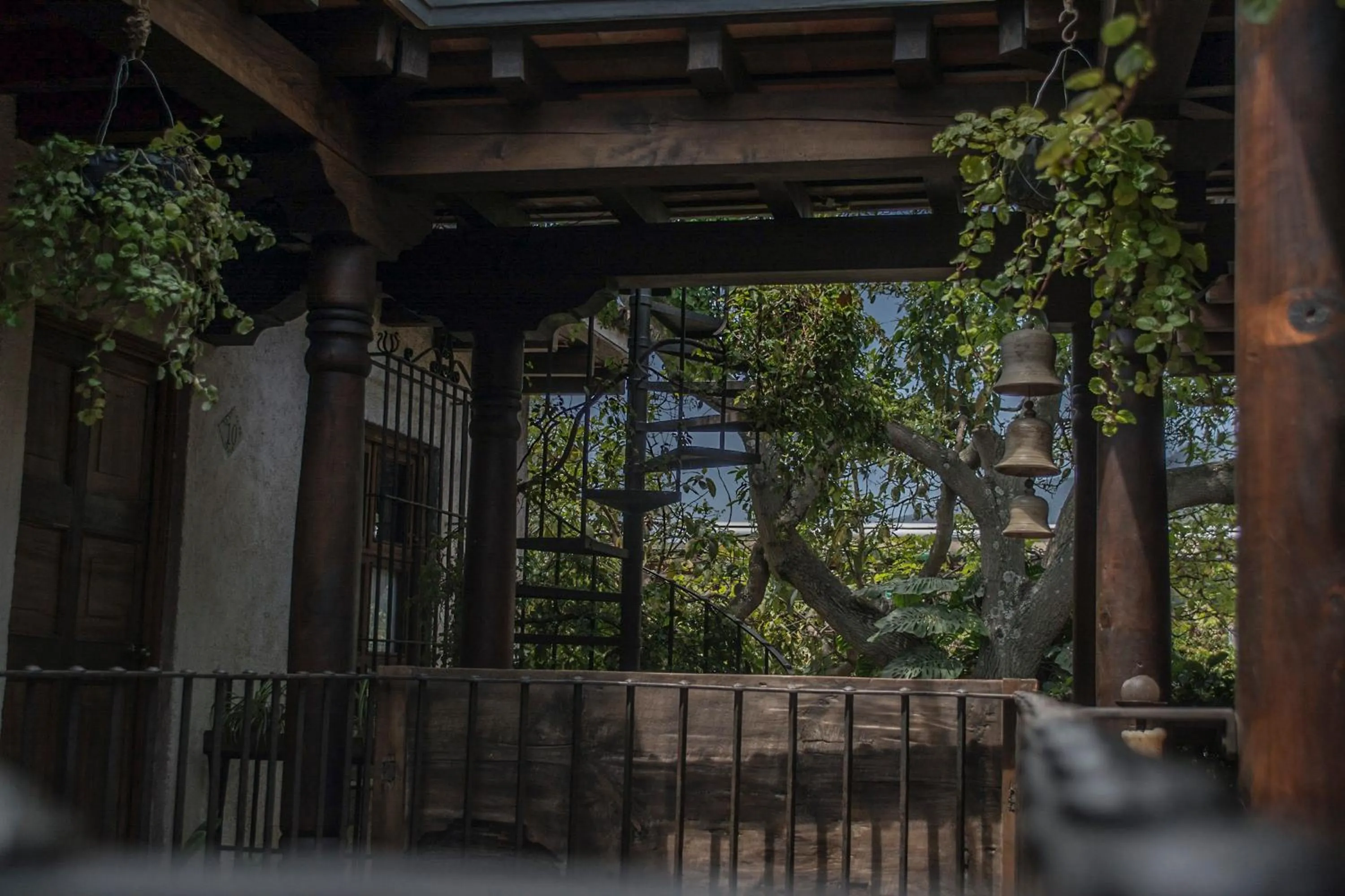 Garden in Posada El Antaño