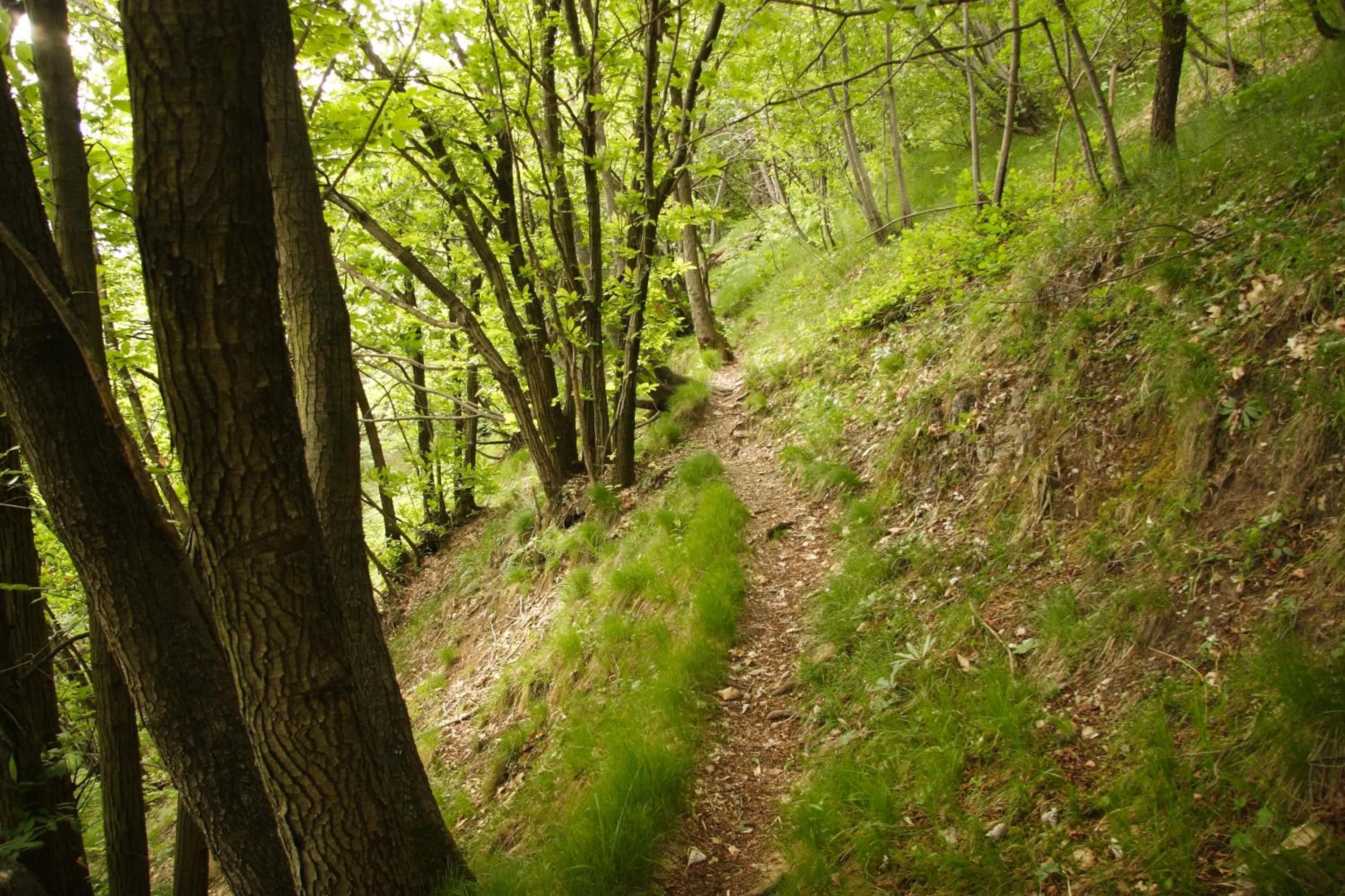 Spring in Hotel Il Nibbio