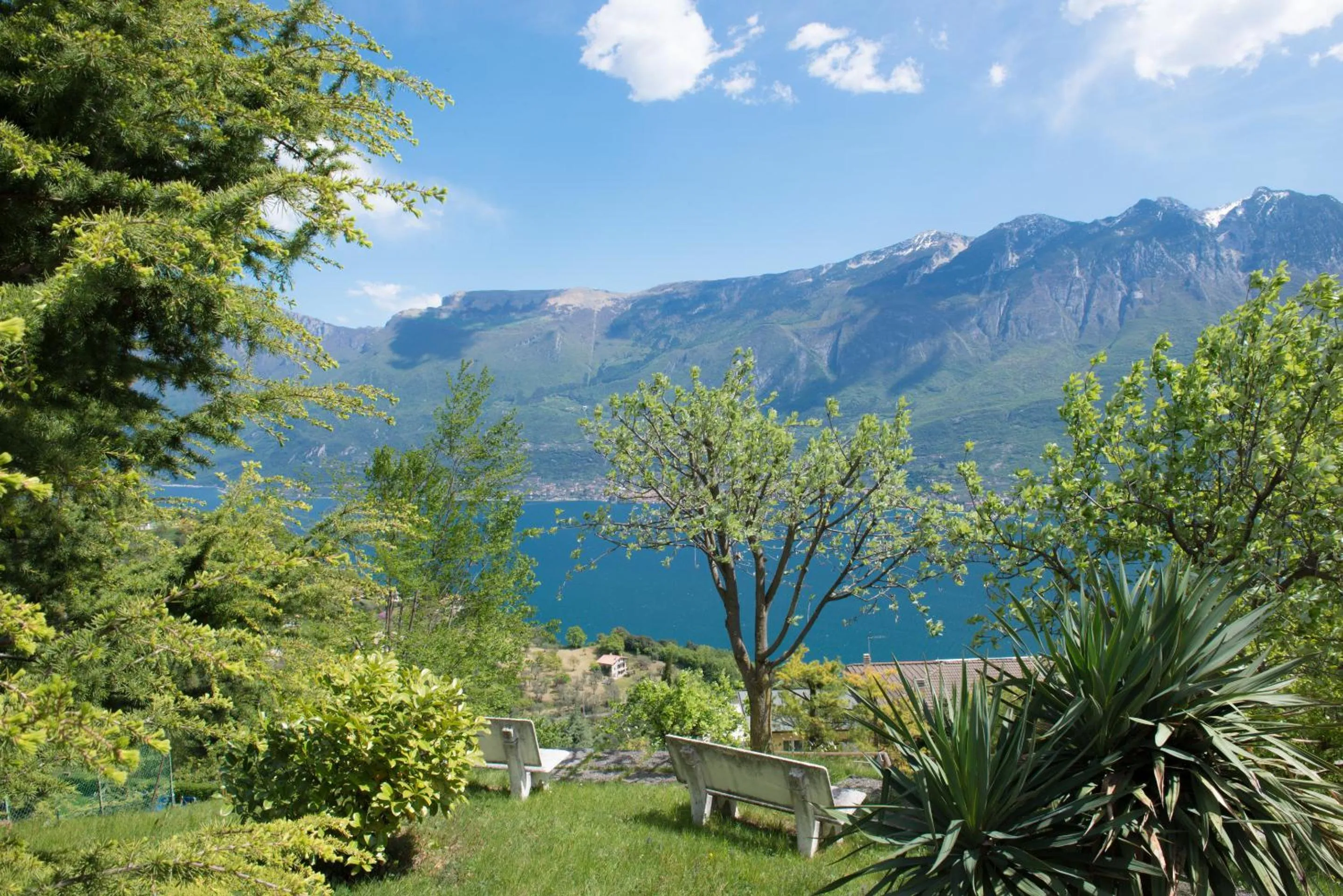 Garden in Village Hotel Lucia