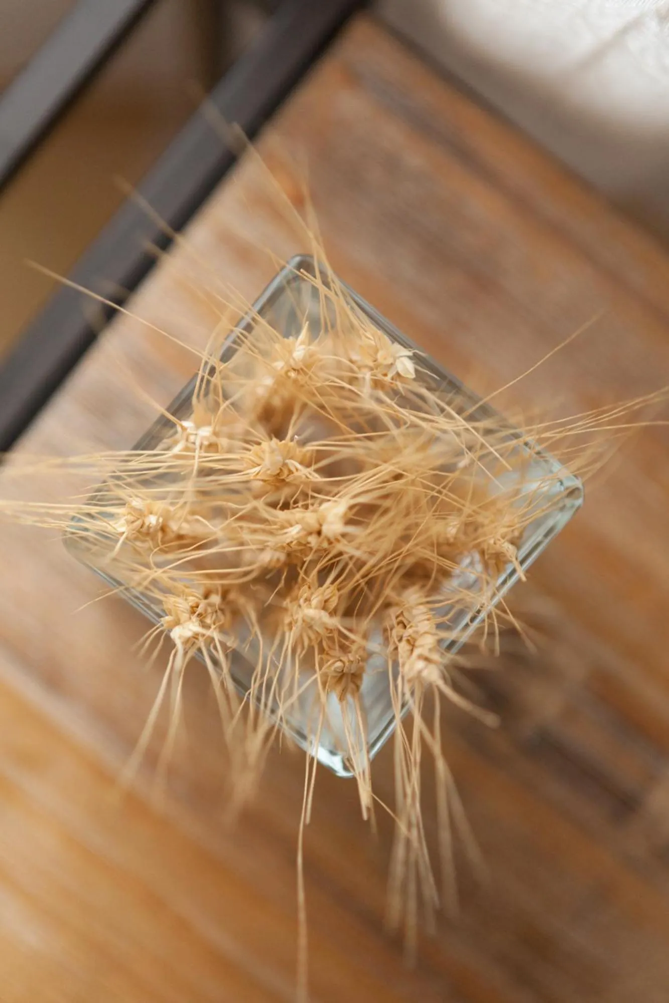 Summer in B&B Fior Di Farine