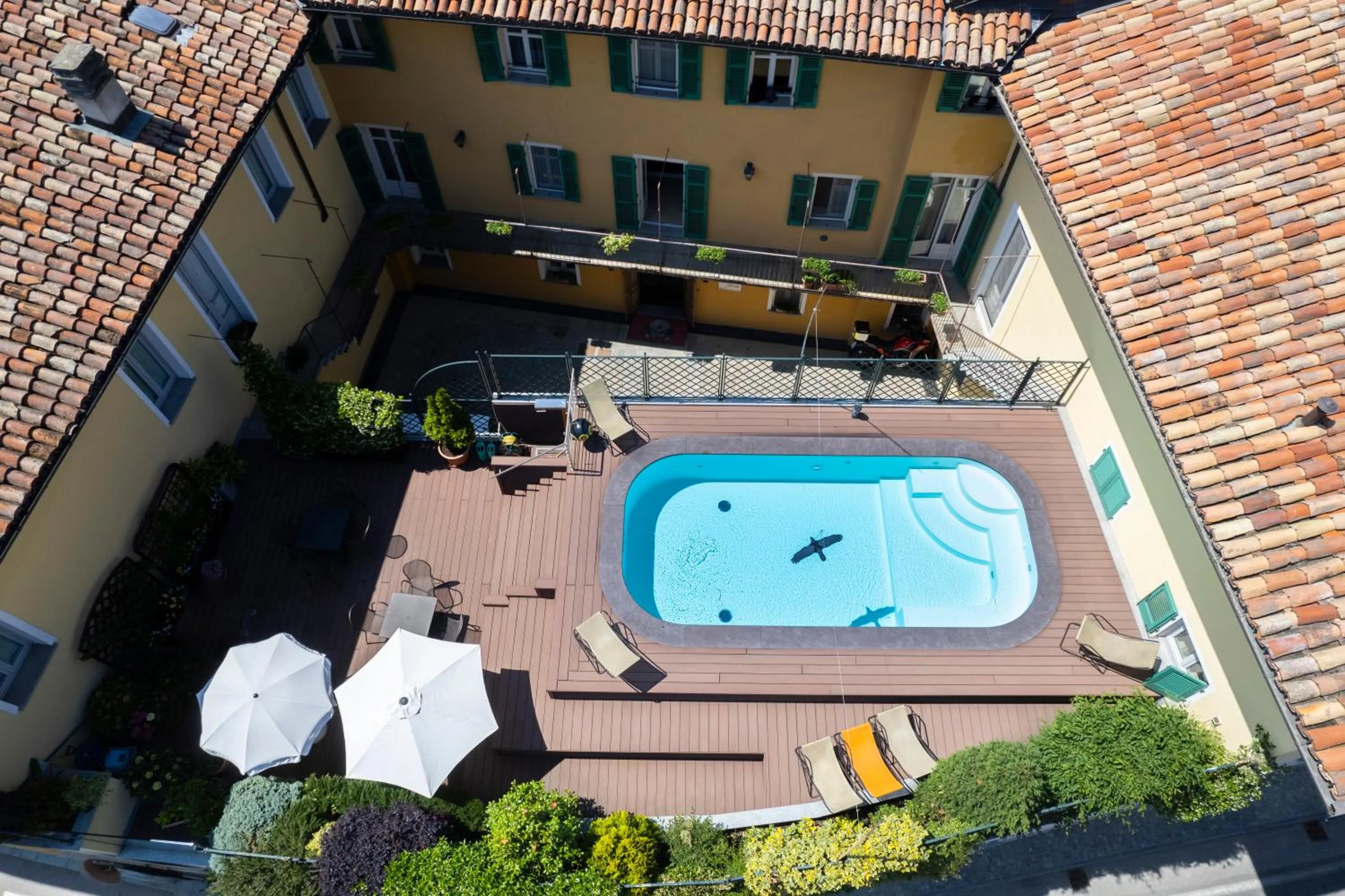 Swimming pool in B&B Fior Di Farine