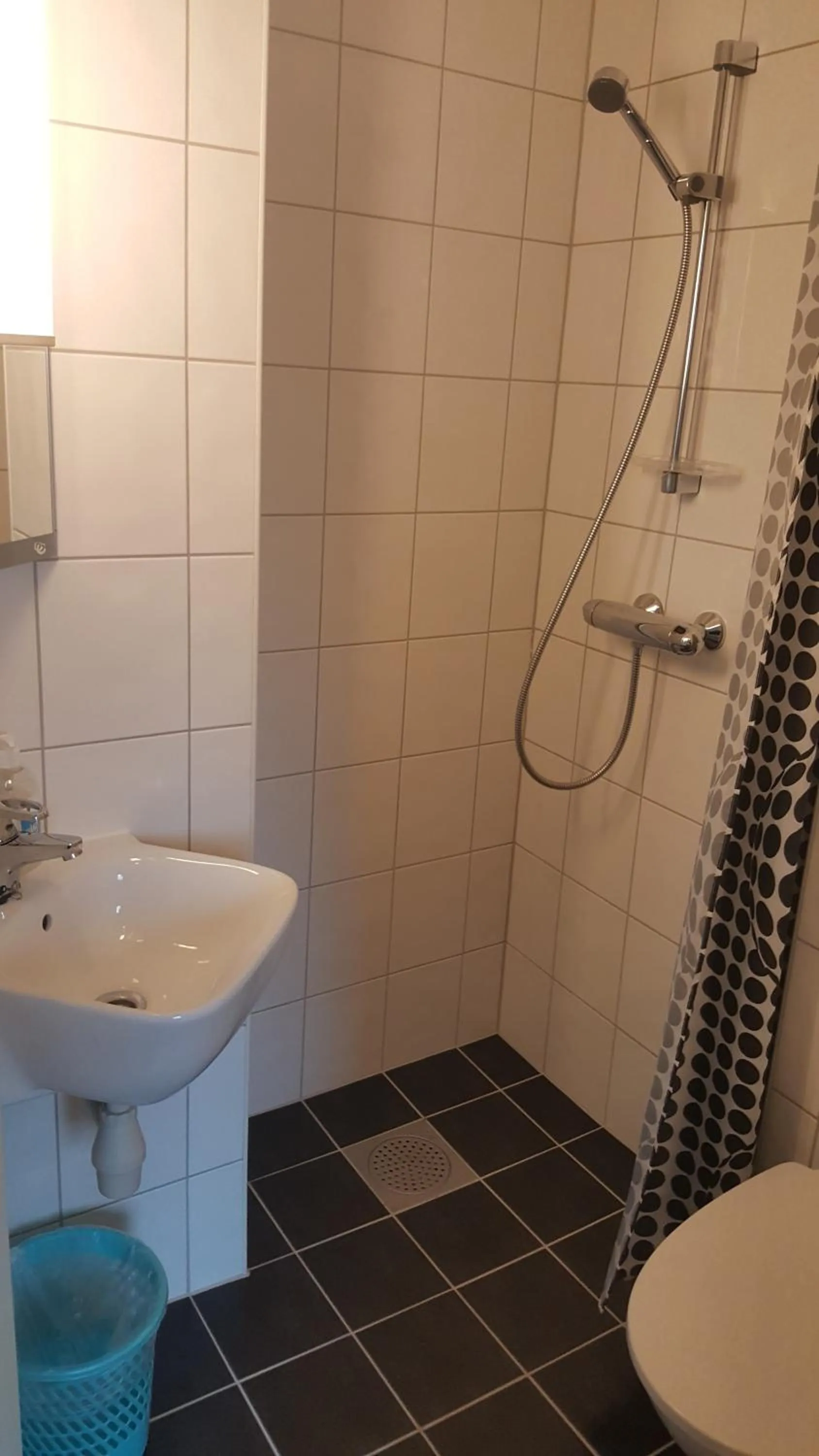 Shower in Skeisvang Gjestgiveri