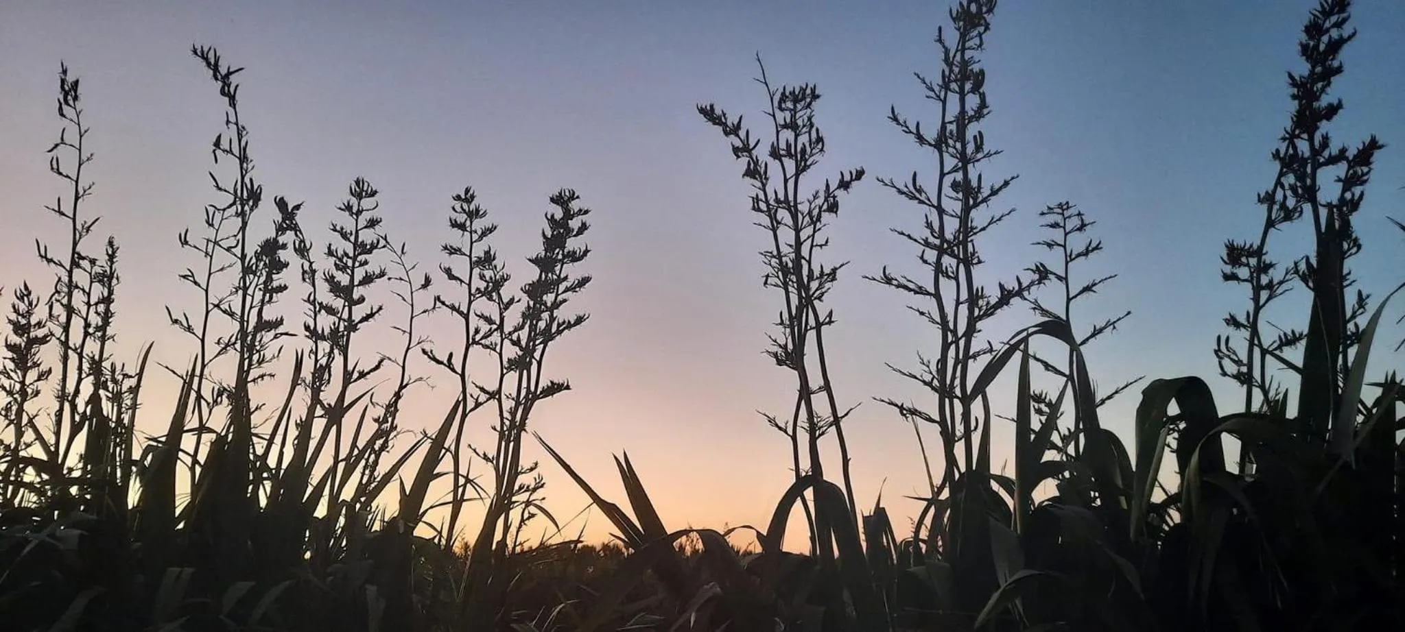 Night in Ross Beach TOP10 Holiday Park