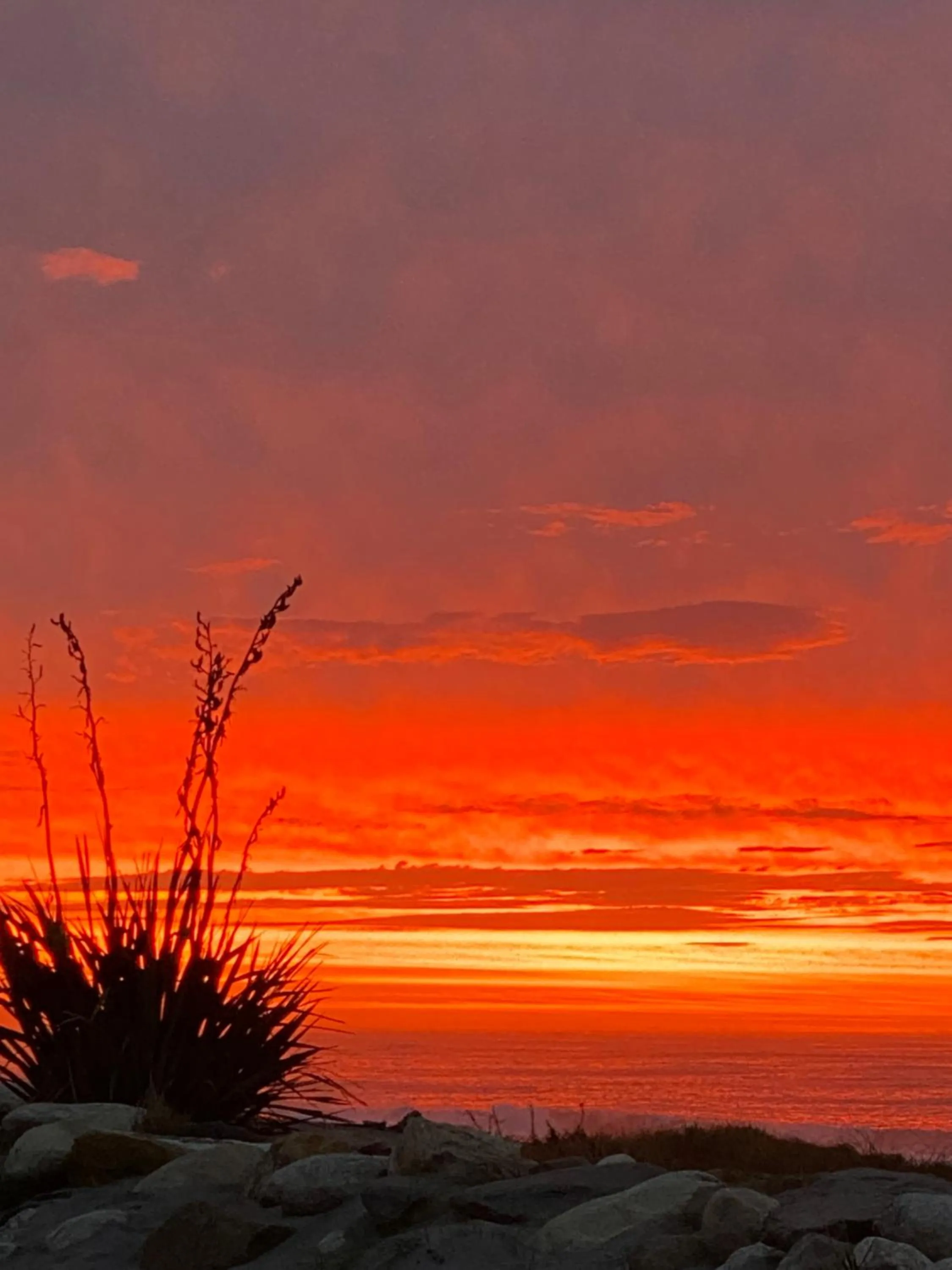 Natural landscape in Ross Beach TOP10 Holiday Park