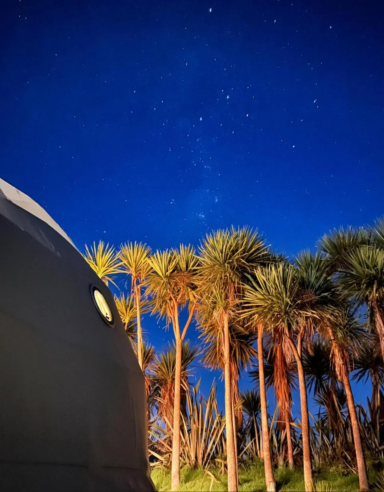 Night in Ross Beach TOP10 Holiday Park