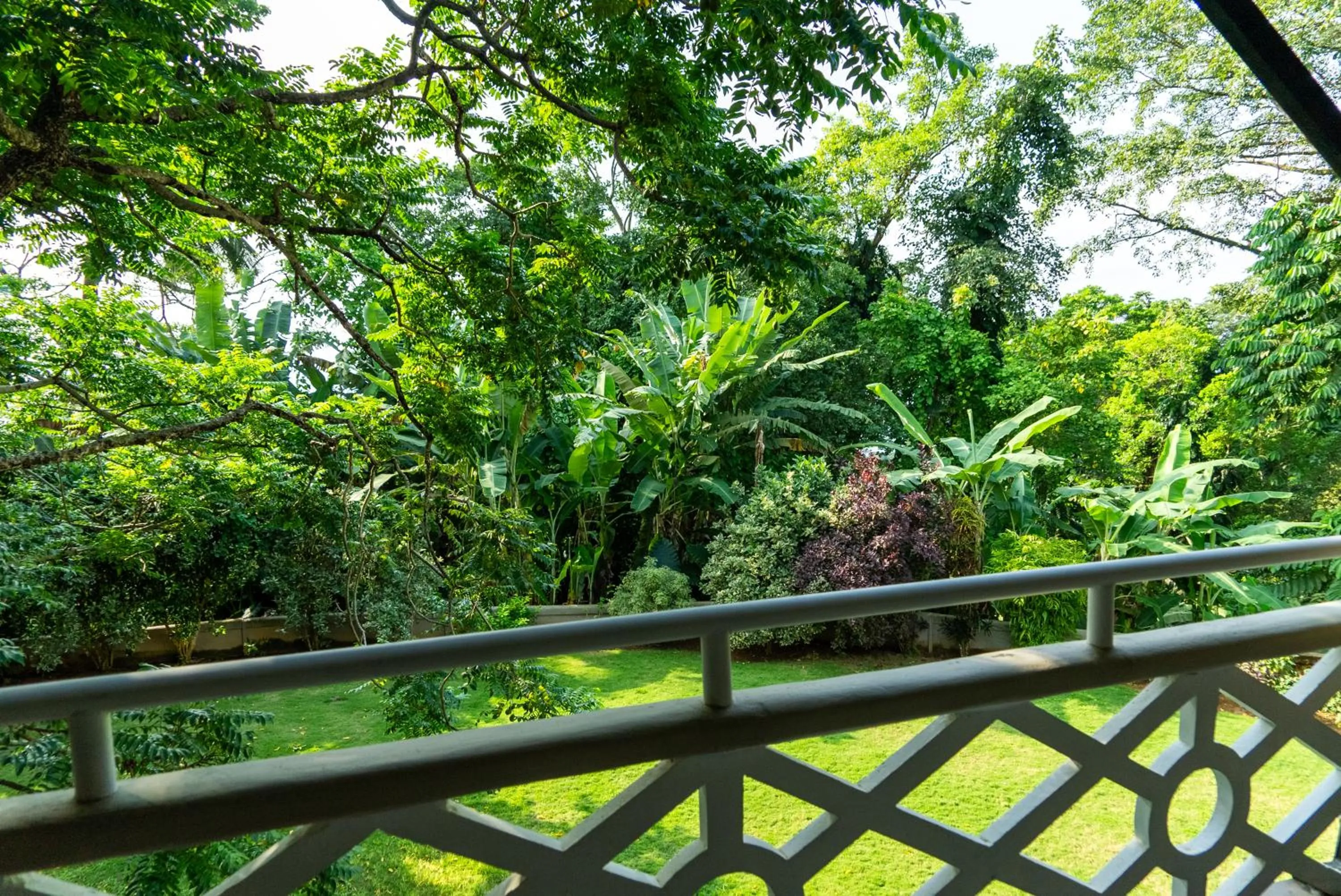 View (from property/room) in Roça Sundy - Principe Collection