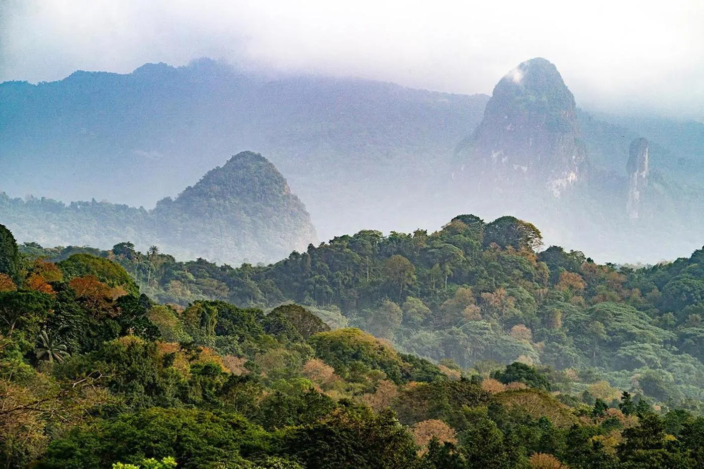 Natural landscape in Roça Sundy - Principe Collection