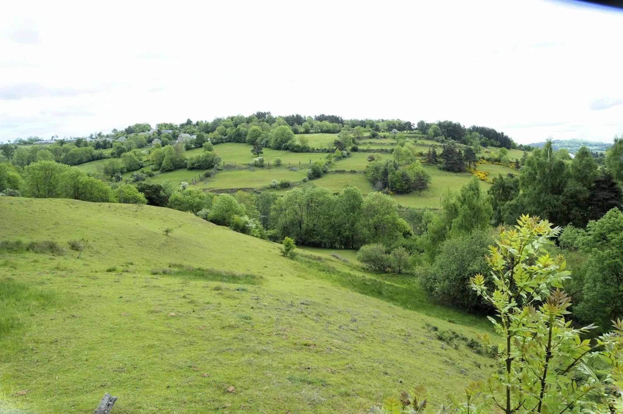 Area and facilities in Hôtel Logis Le Relais De La Poste