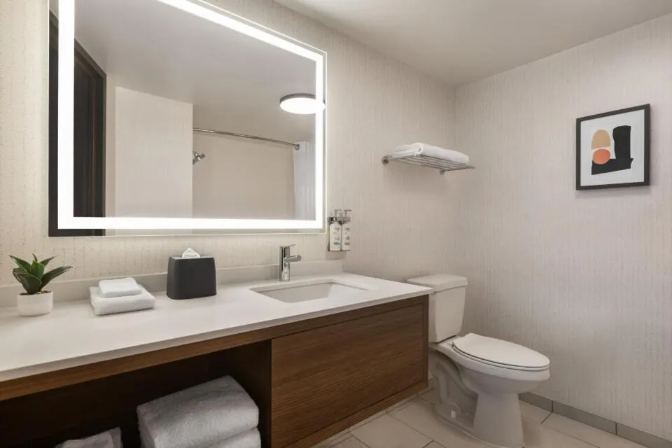 Holiday Inn Nashville Downtown - Stadium by IHG