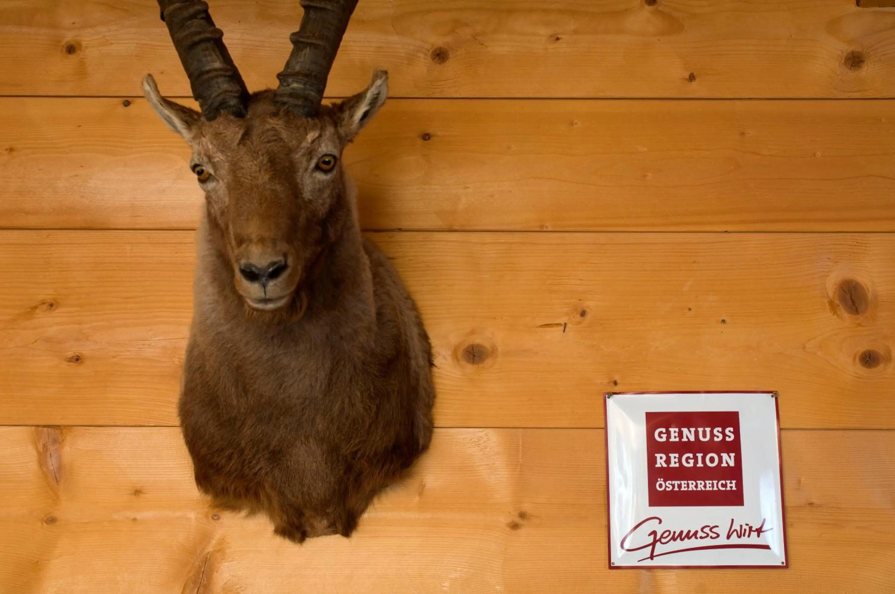 Animals in Gaemsle - Rueckzugsort in den Bergen