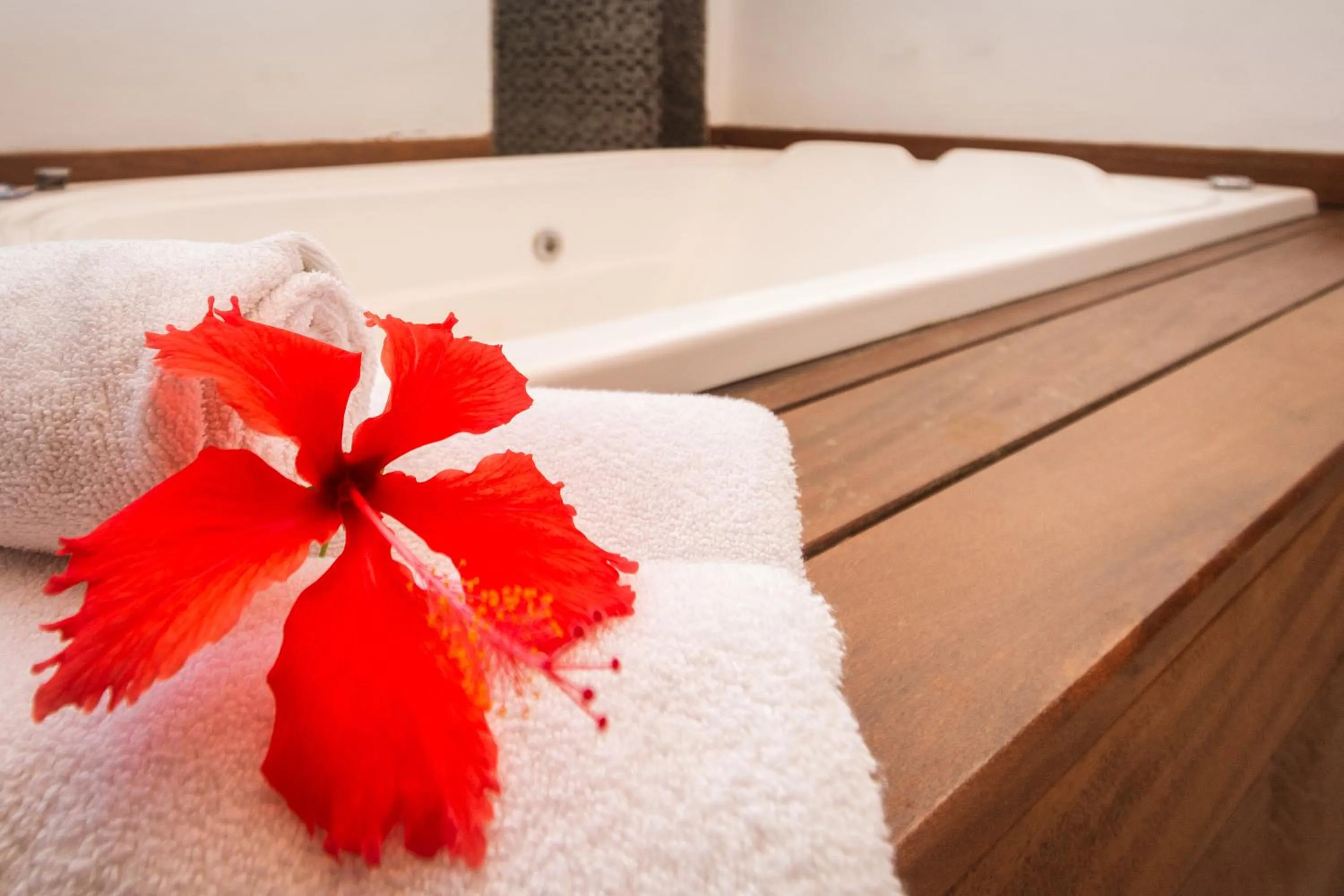 Hot Tub, Bed in Pousada MAR João Fernandes