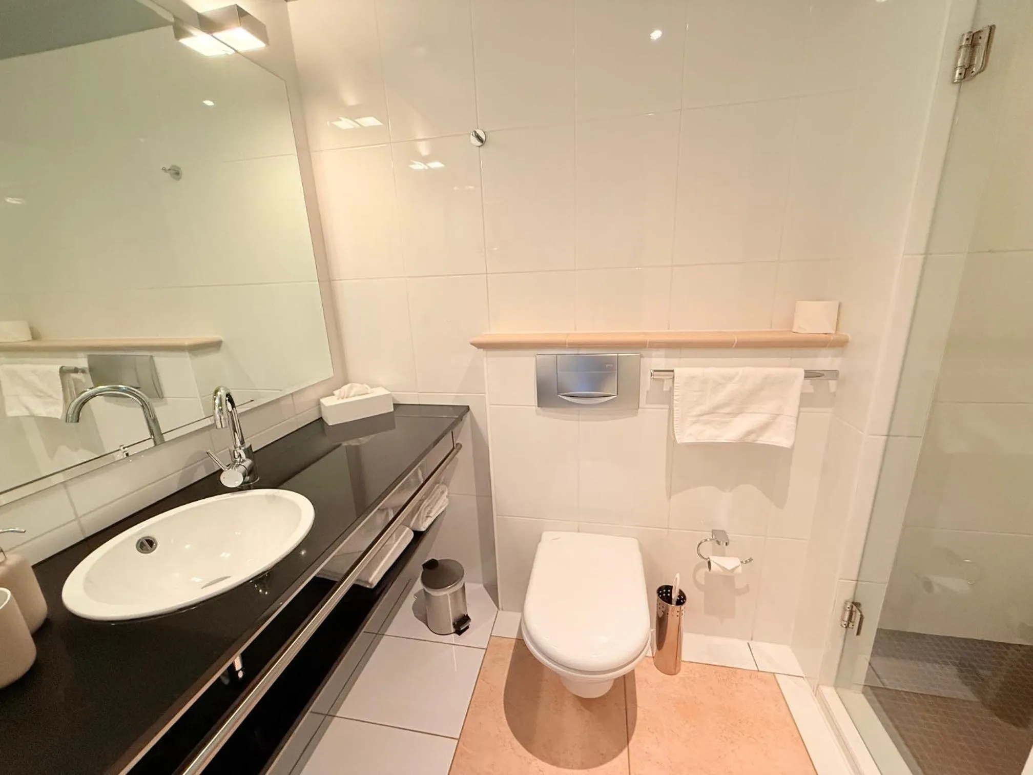 Toilet in Hotel Village