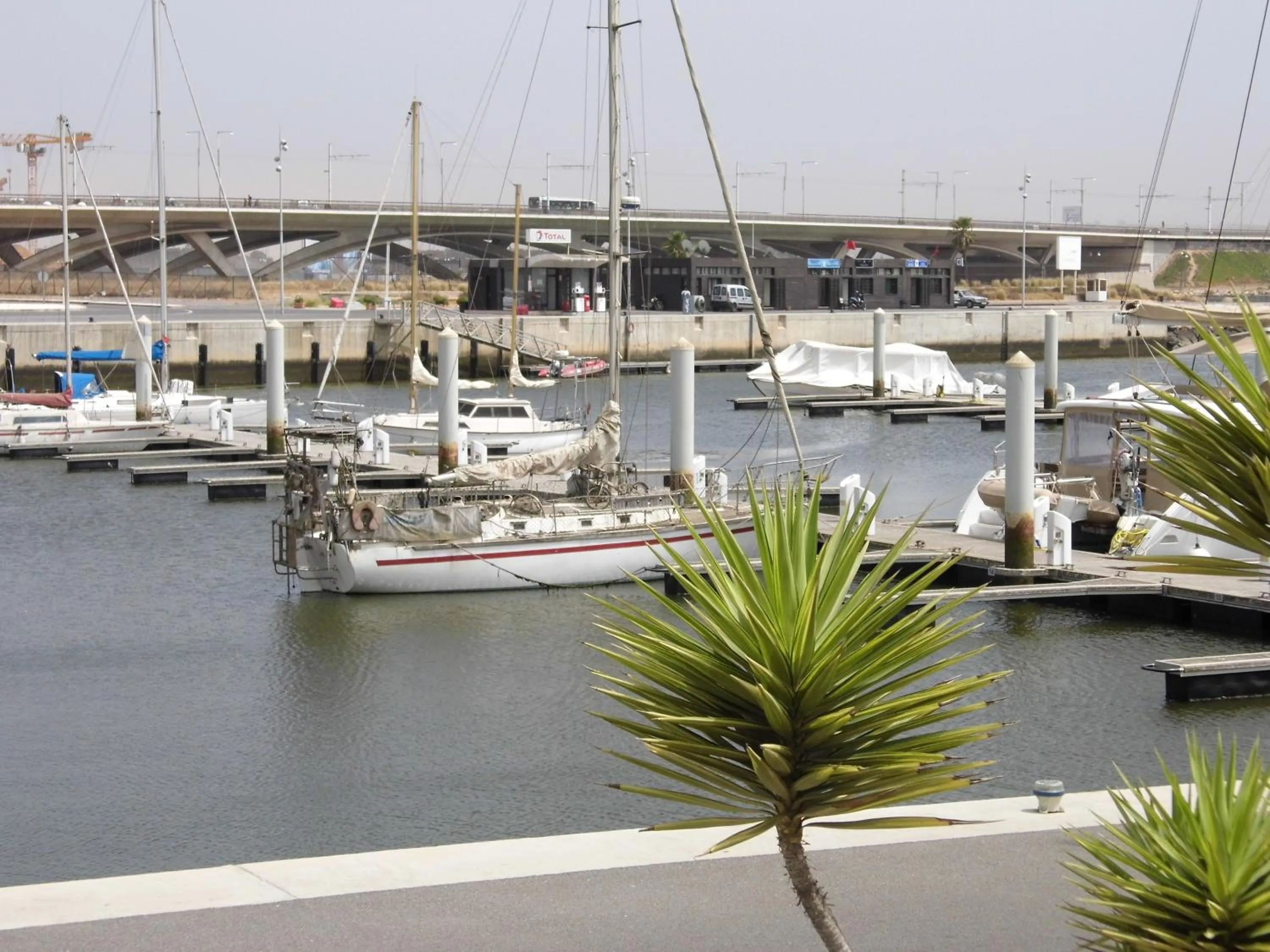 Day in Riad Marlinea