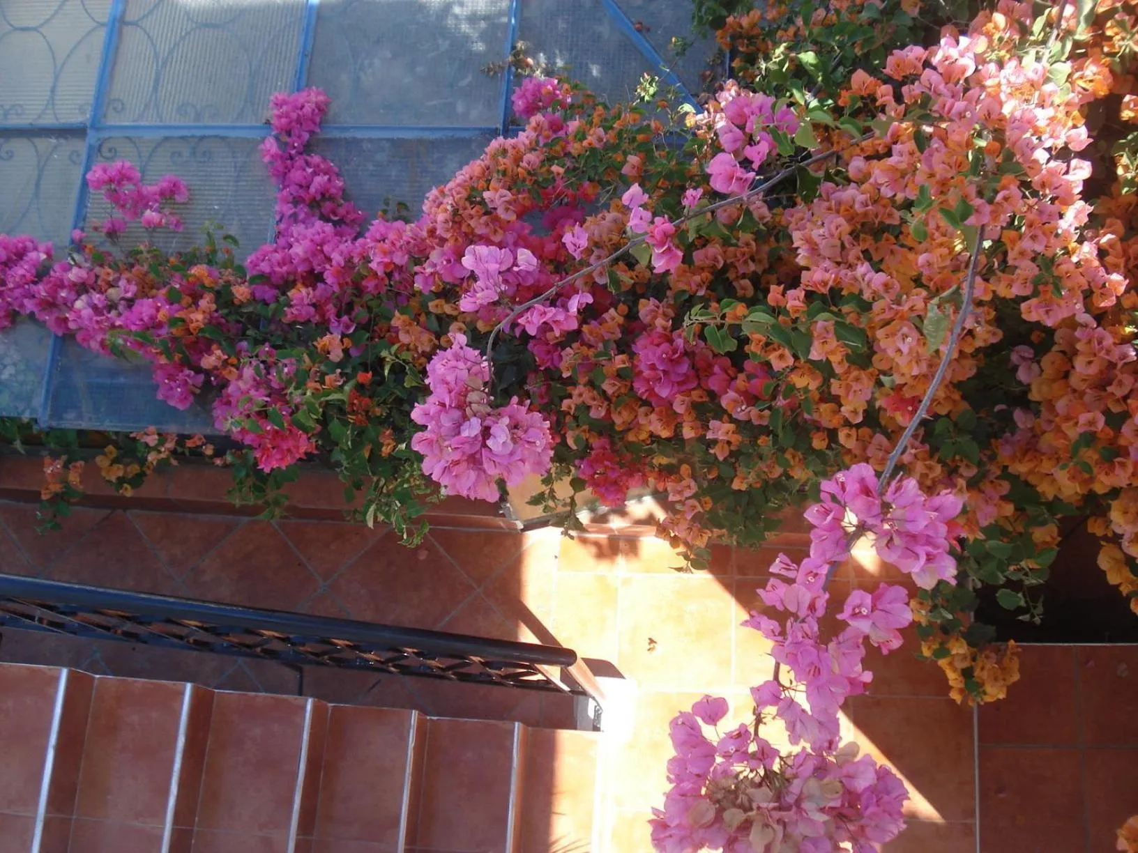 Day in Riad Marlinea