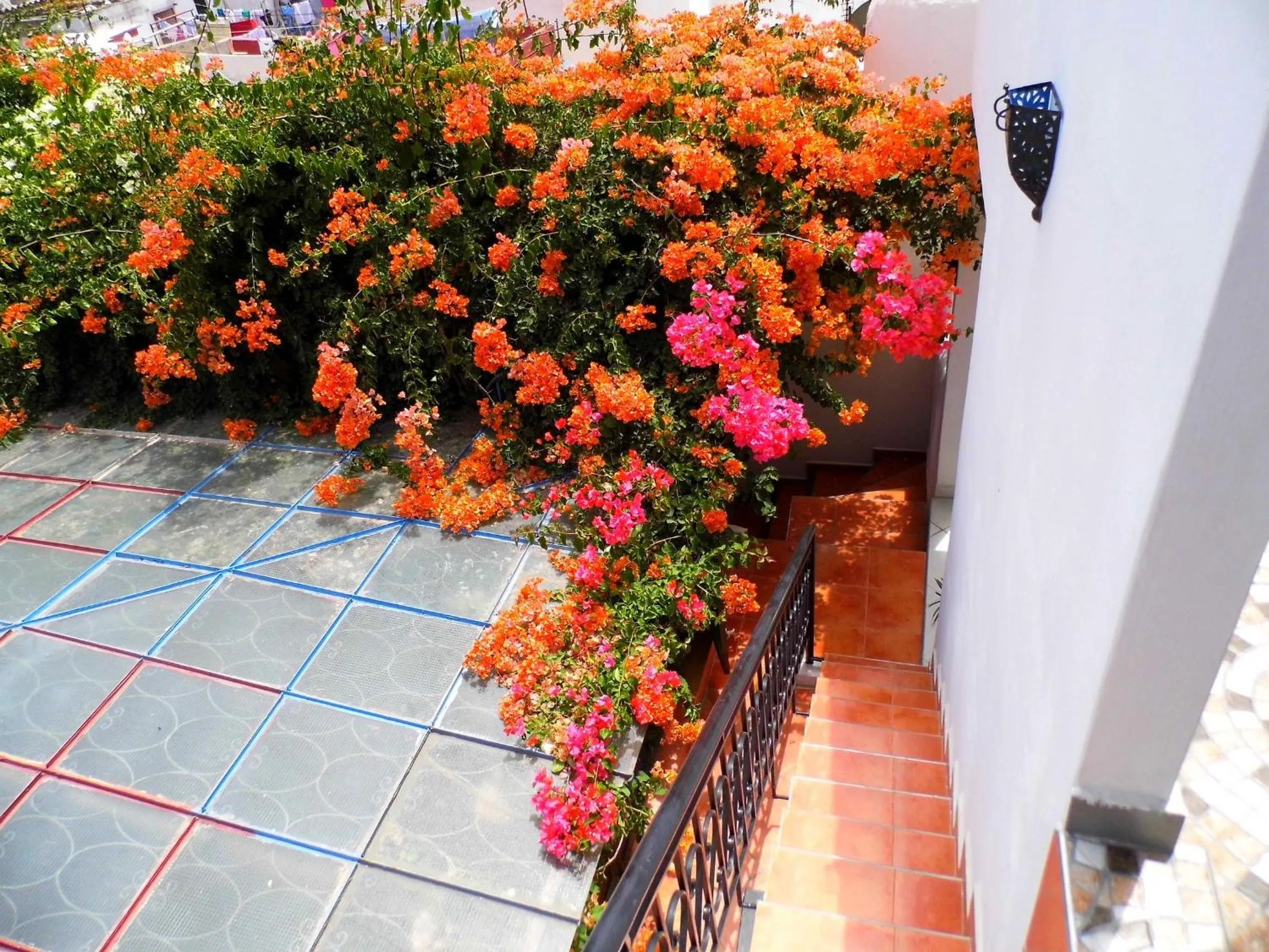 Day in Riad Marlinea